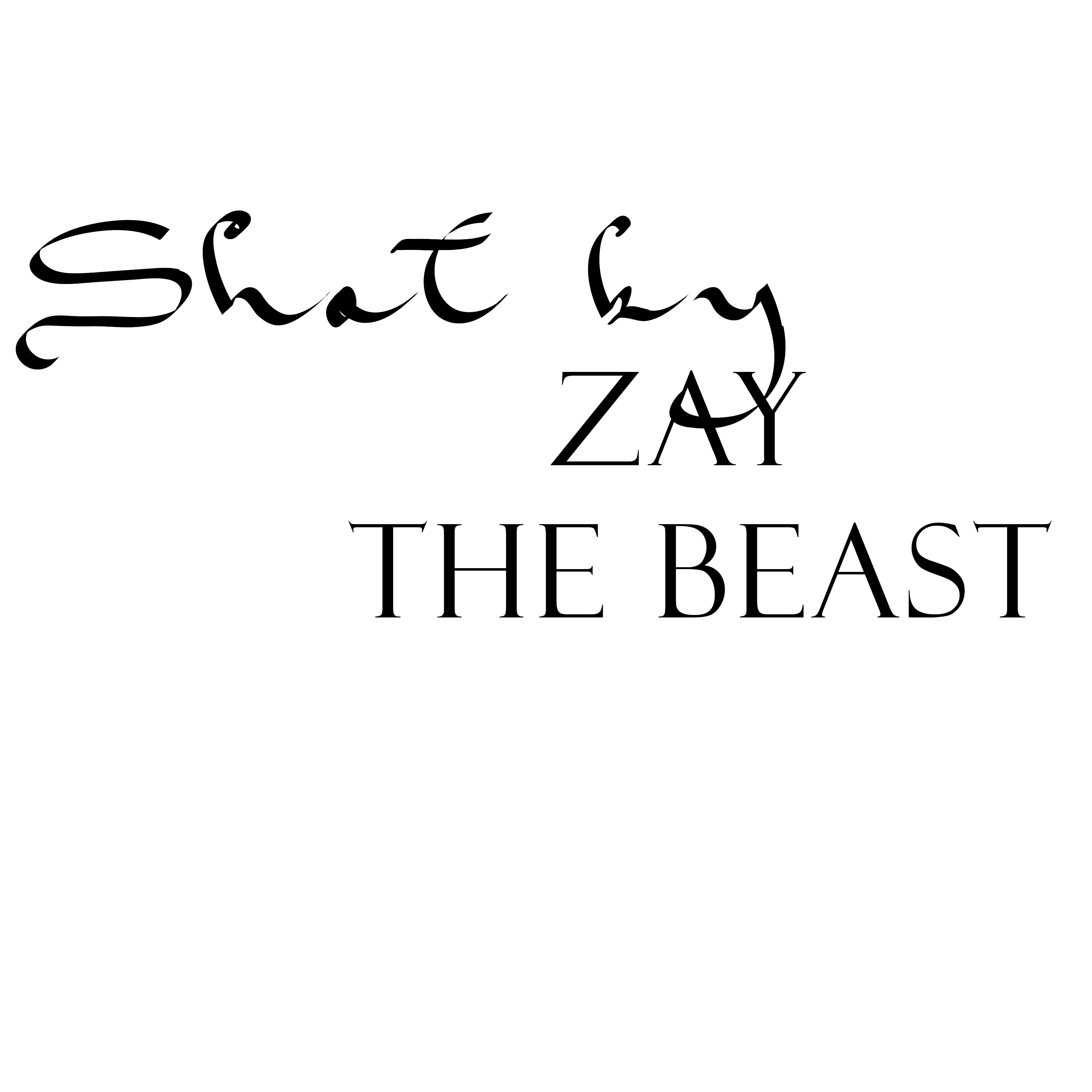Animal Talk Visuals shot by Zay The Beast logo