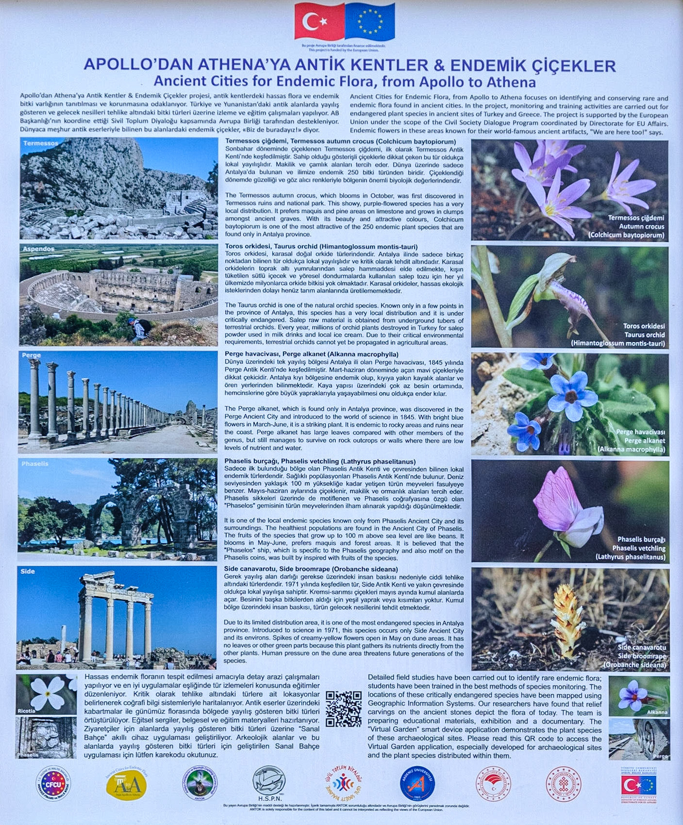 Termessos Antik Kenti