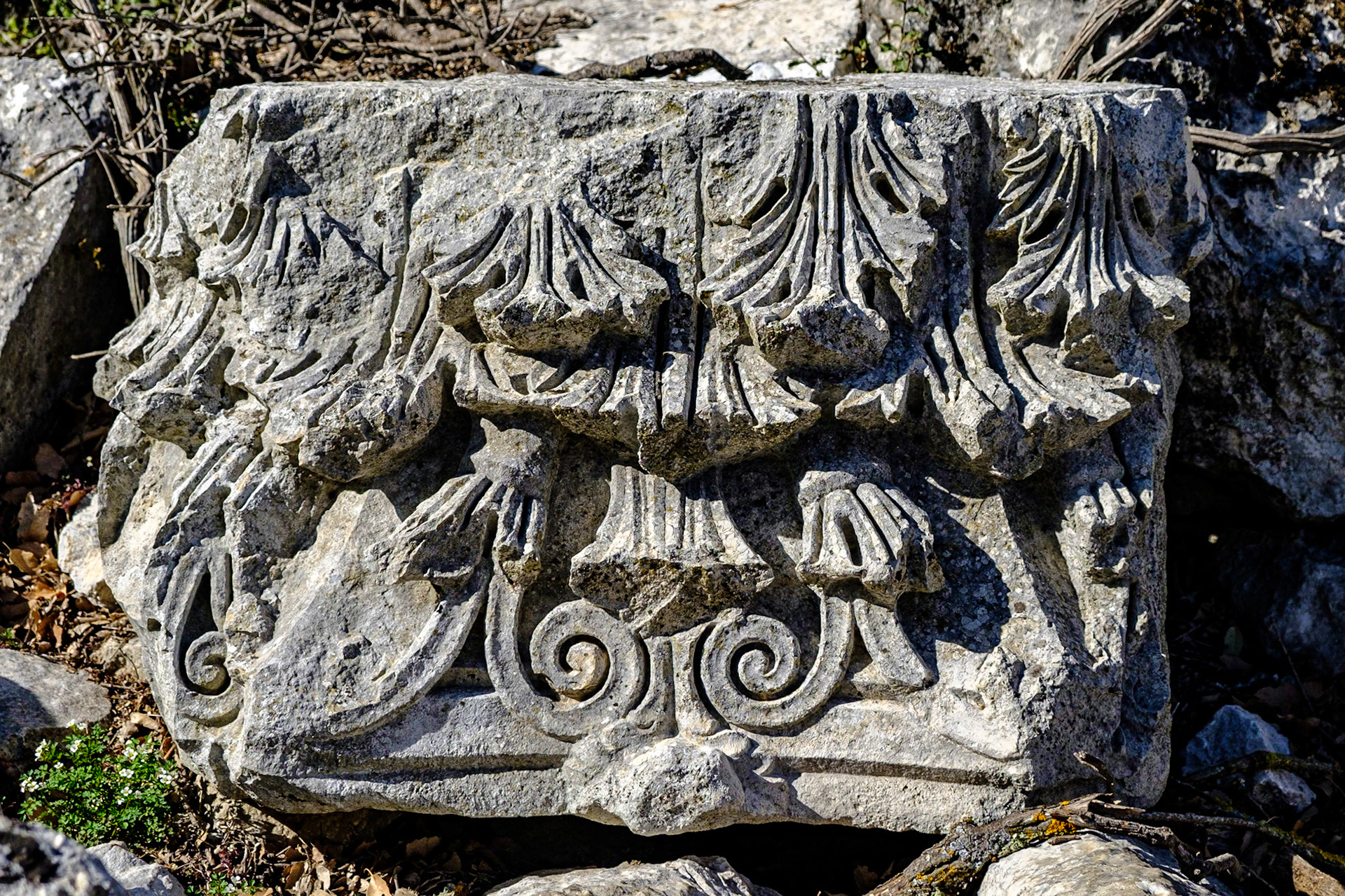 Termessos Antik Kenti