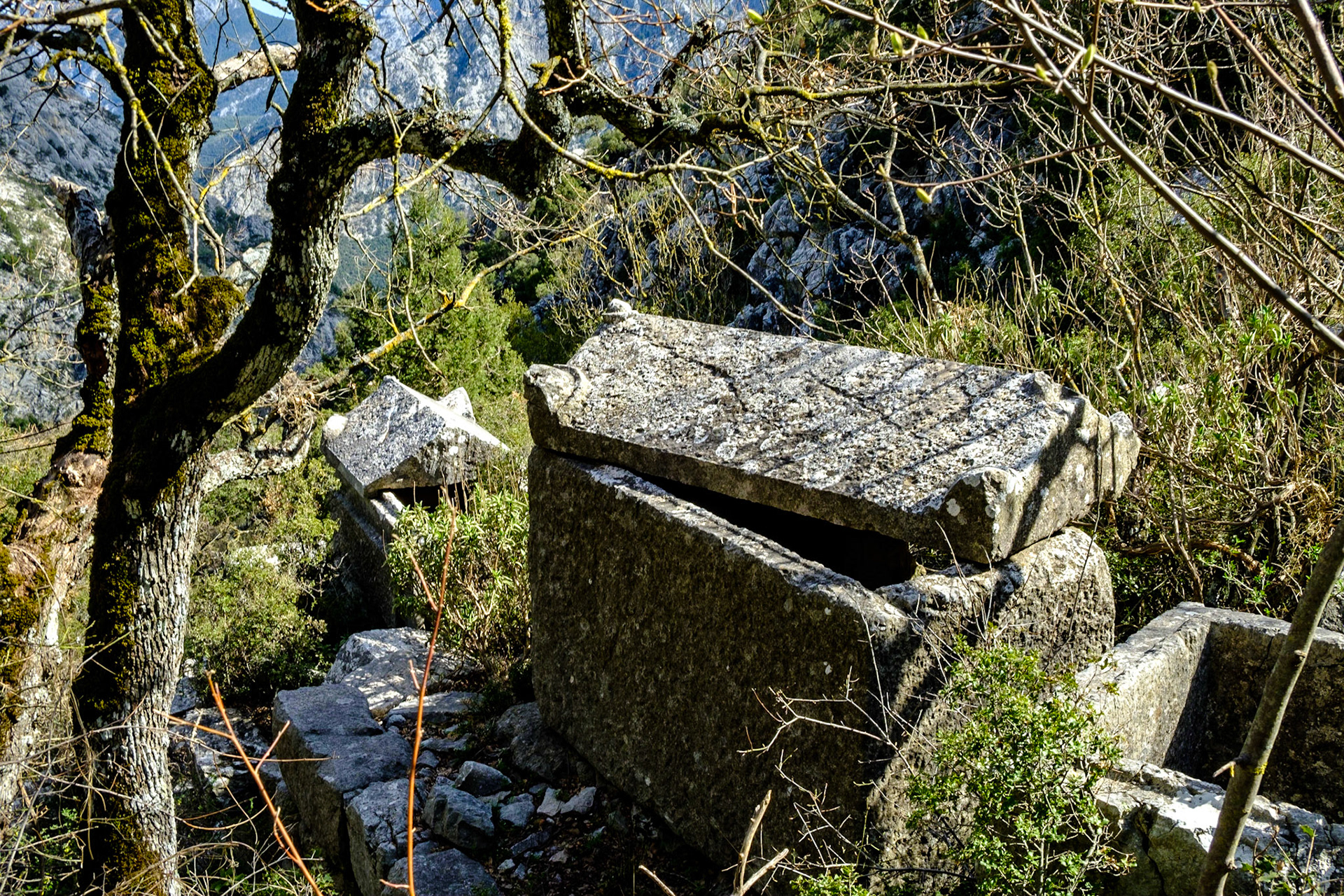 Termessos Antik Kenti