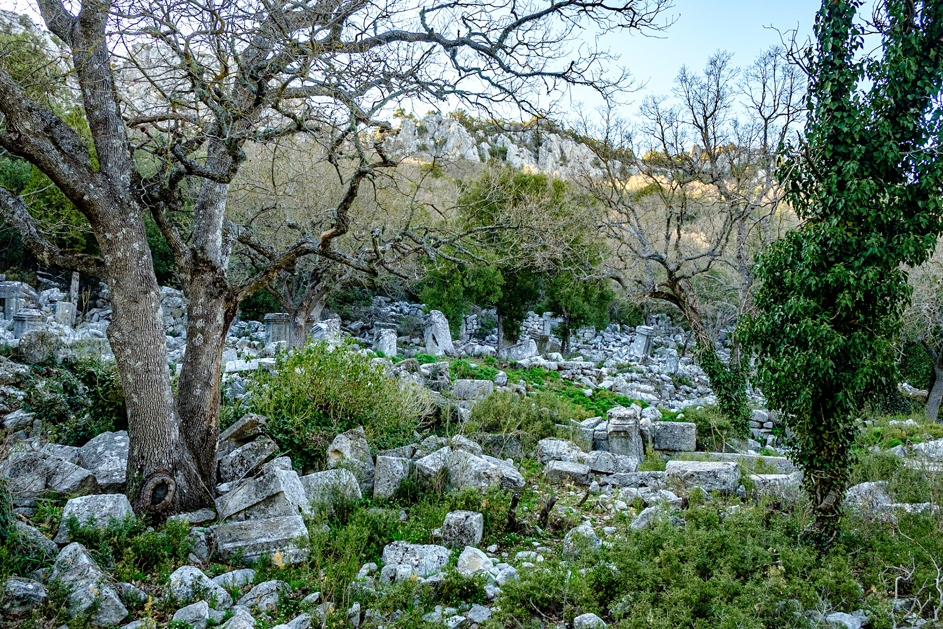Termessos Antik Kenti
