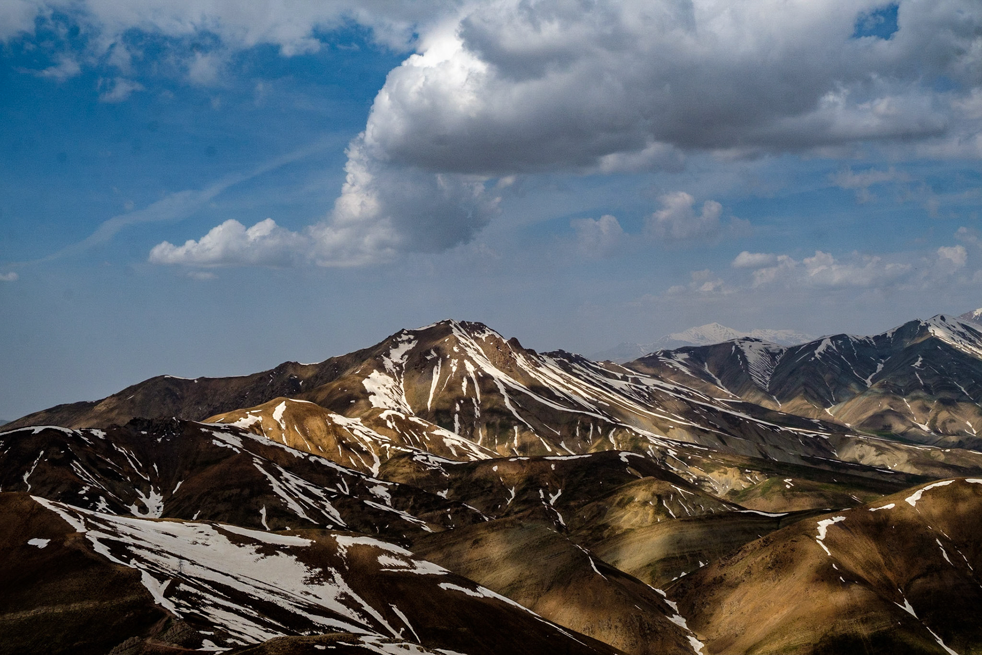 Filzamin MT
