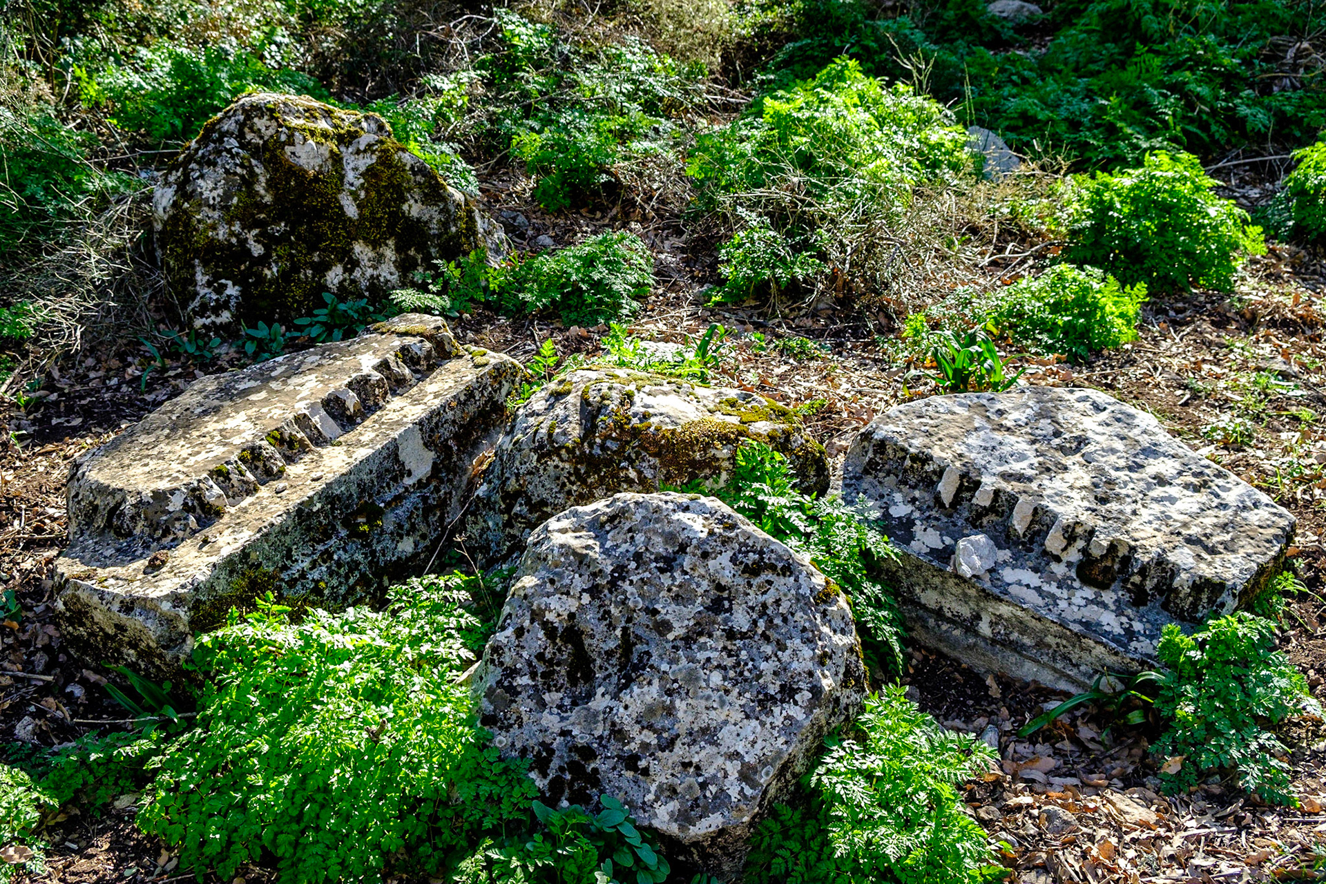 Termessos Antik Kenti