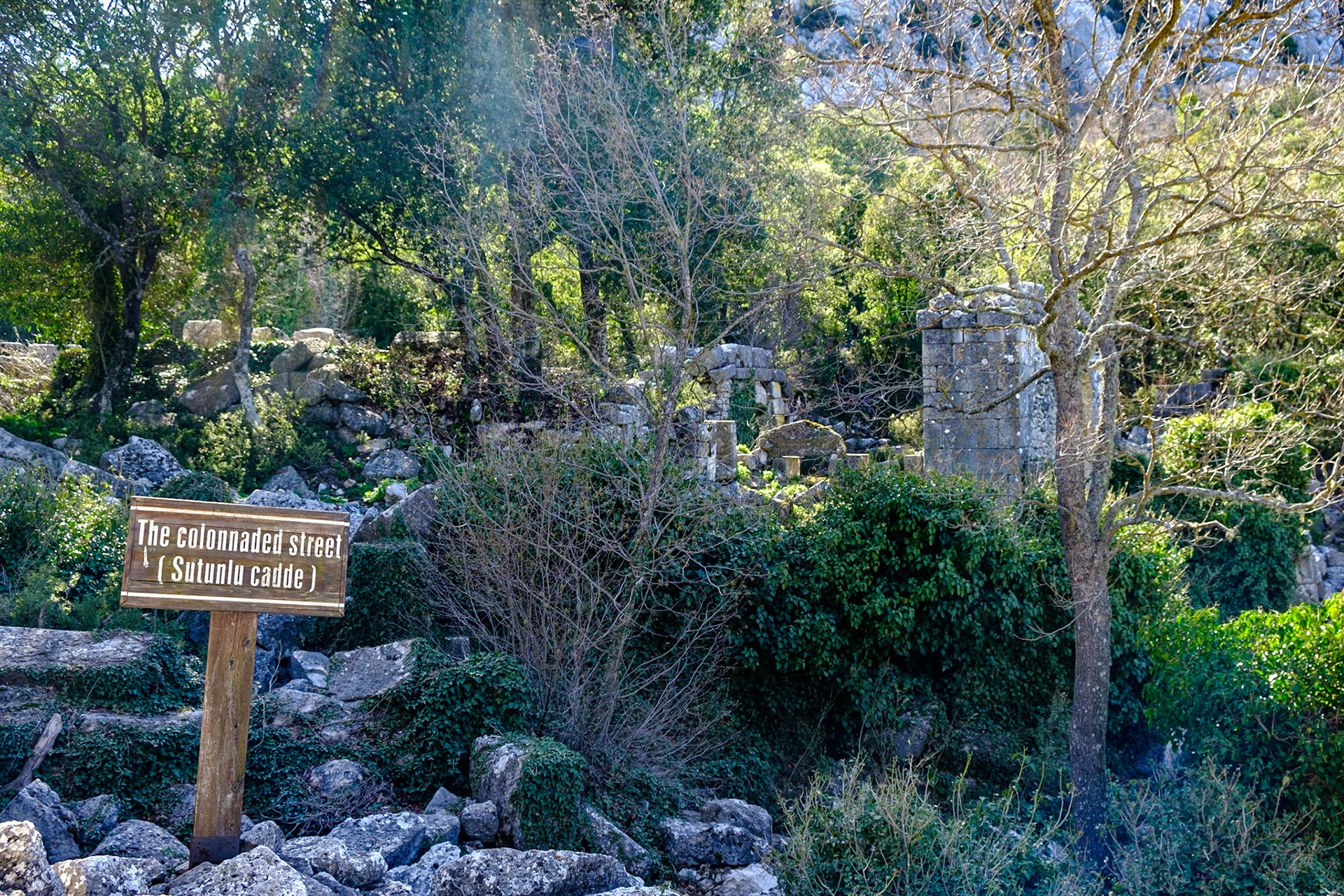 Termessos Antik Kenti