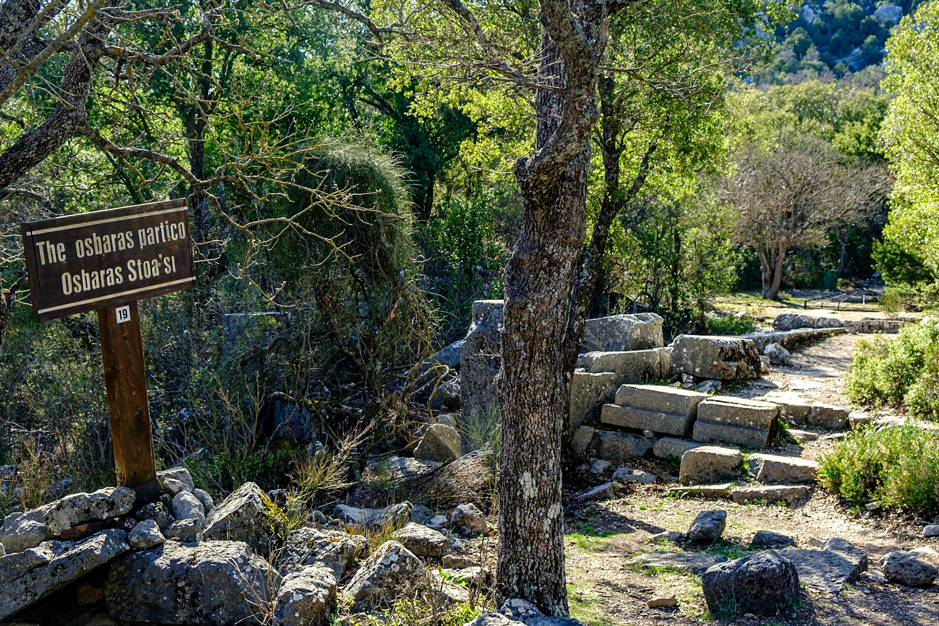 Termessos Antik Kenti