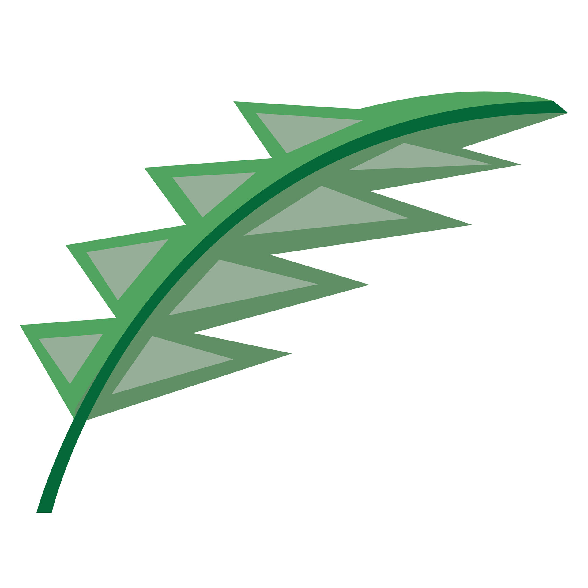 Leaf #3