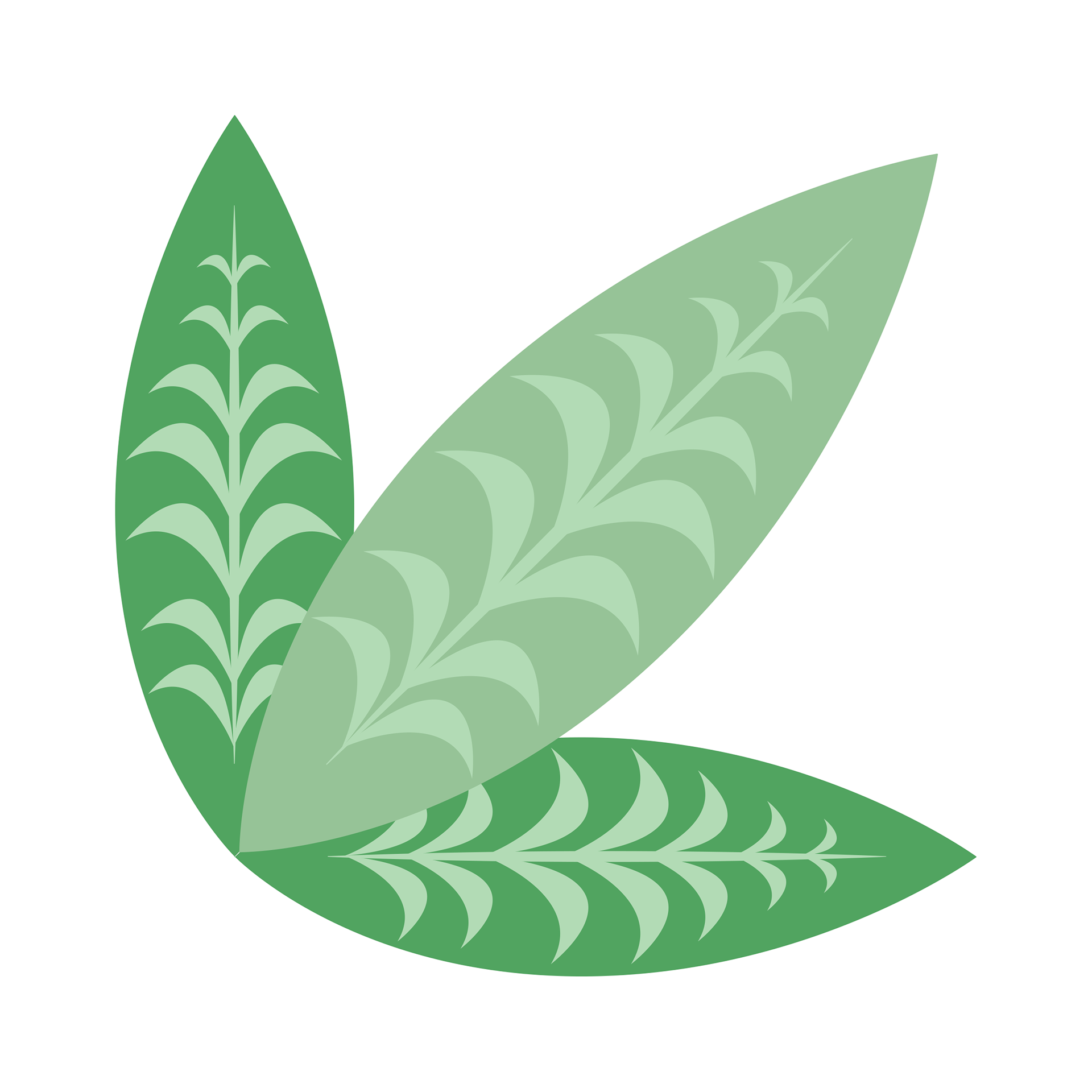 Leaf #2