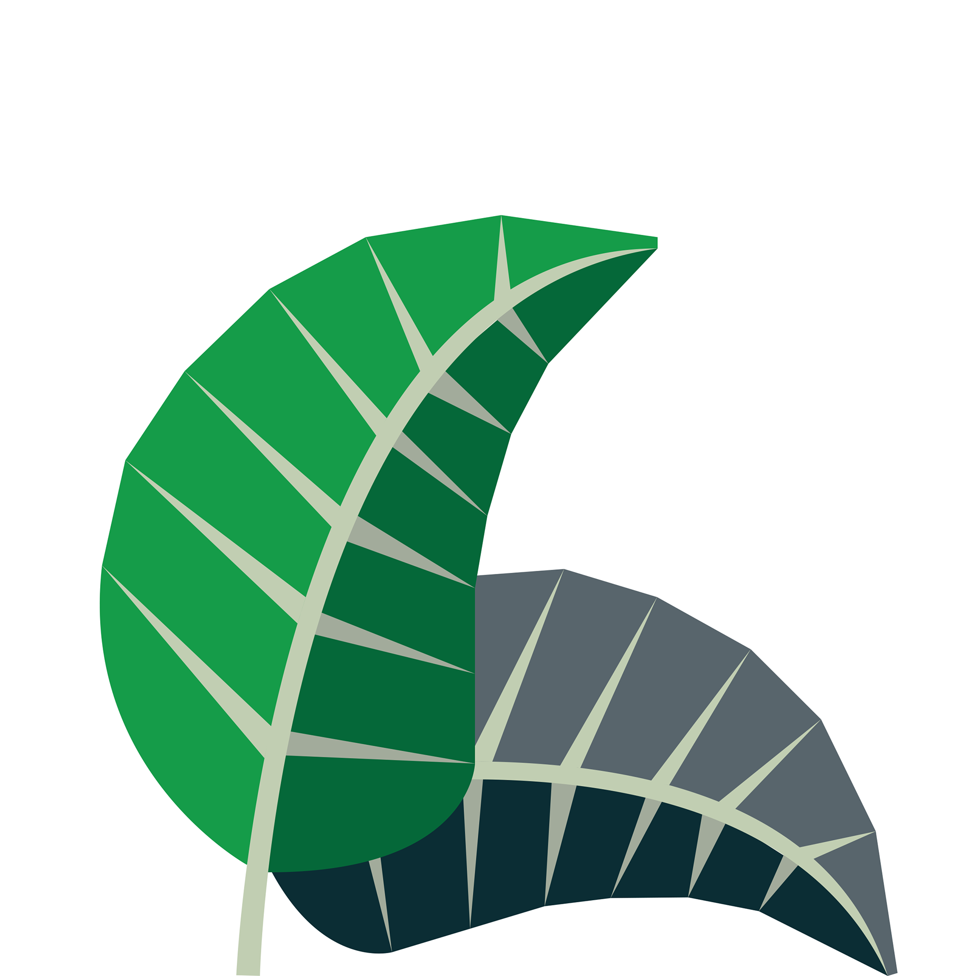 Leaf #7