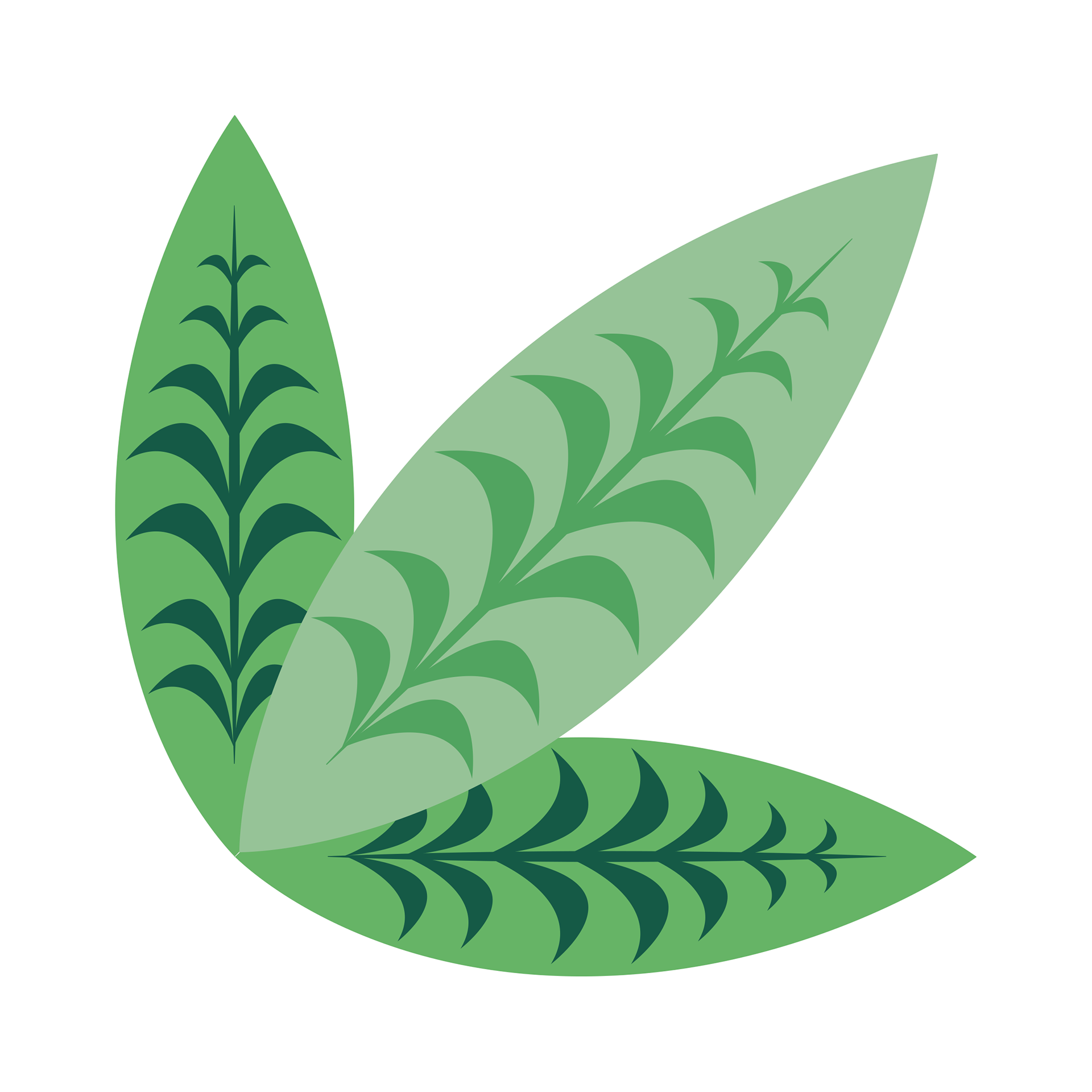 Leaf #4