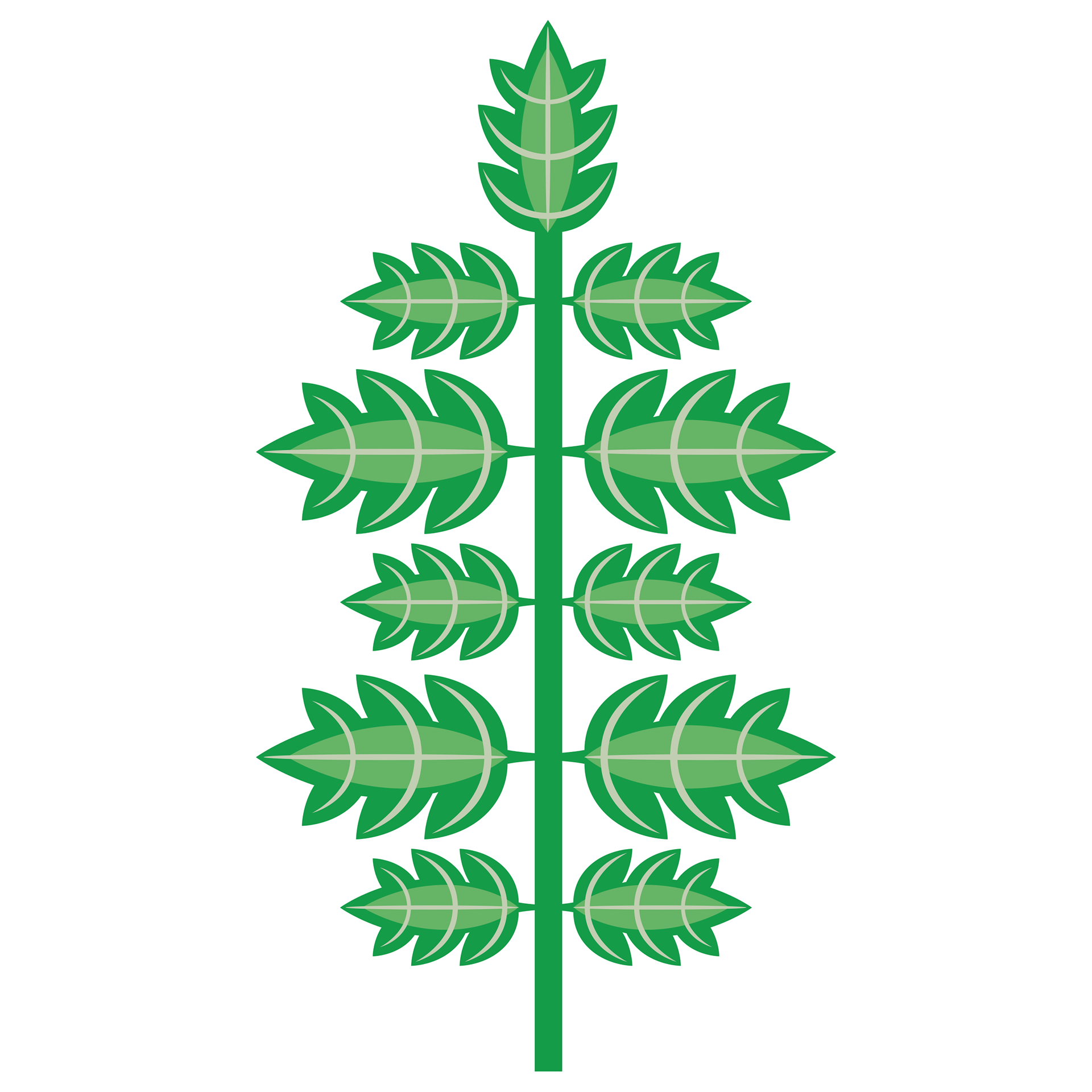 Leaf #5