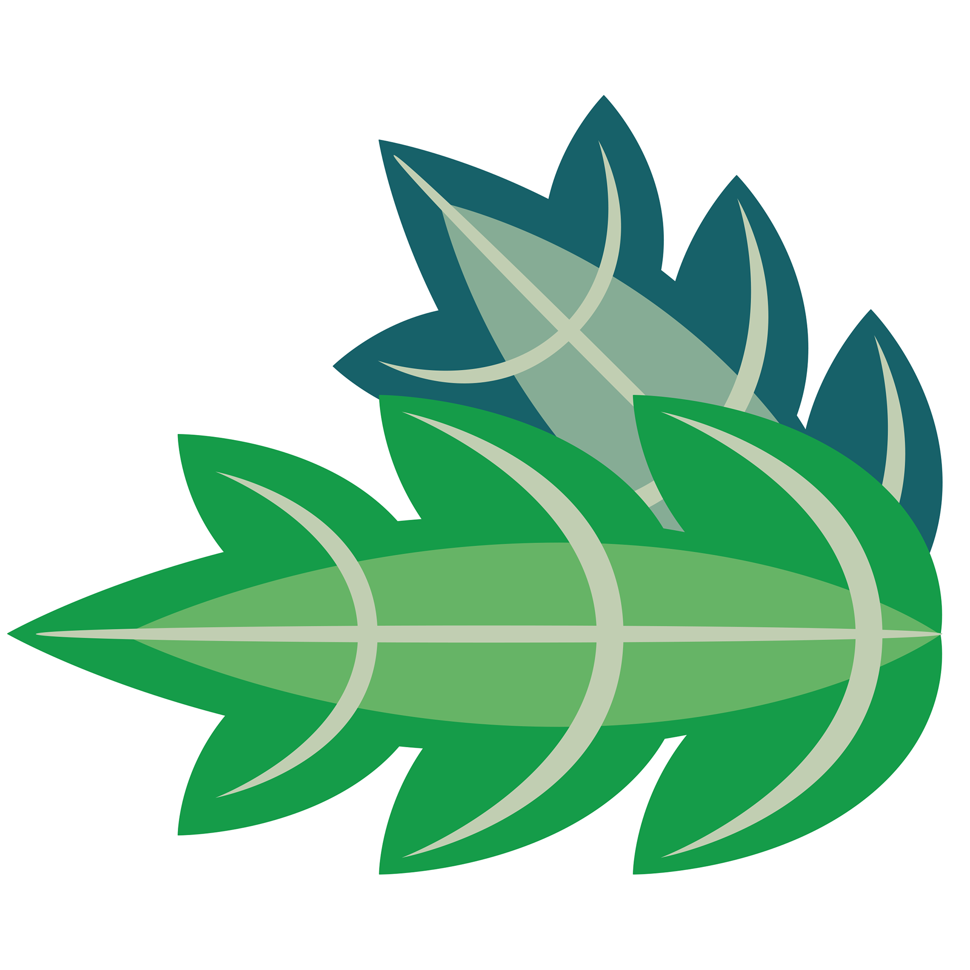 Leaf #6