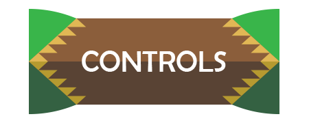 "Controls" Button