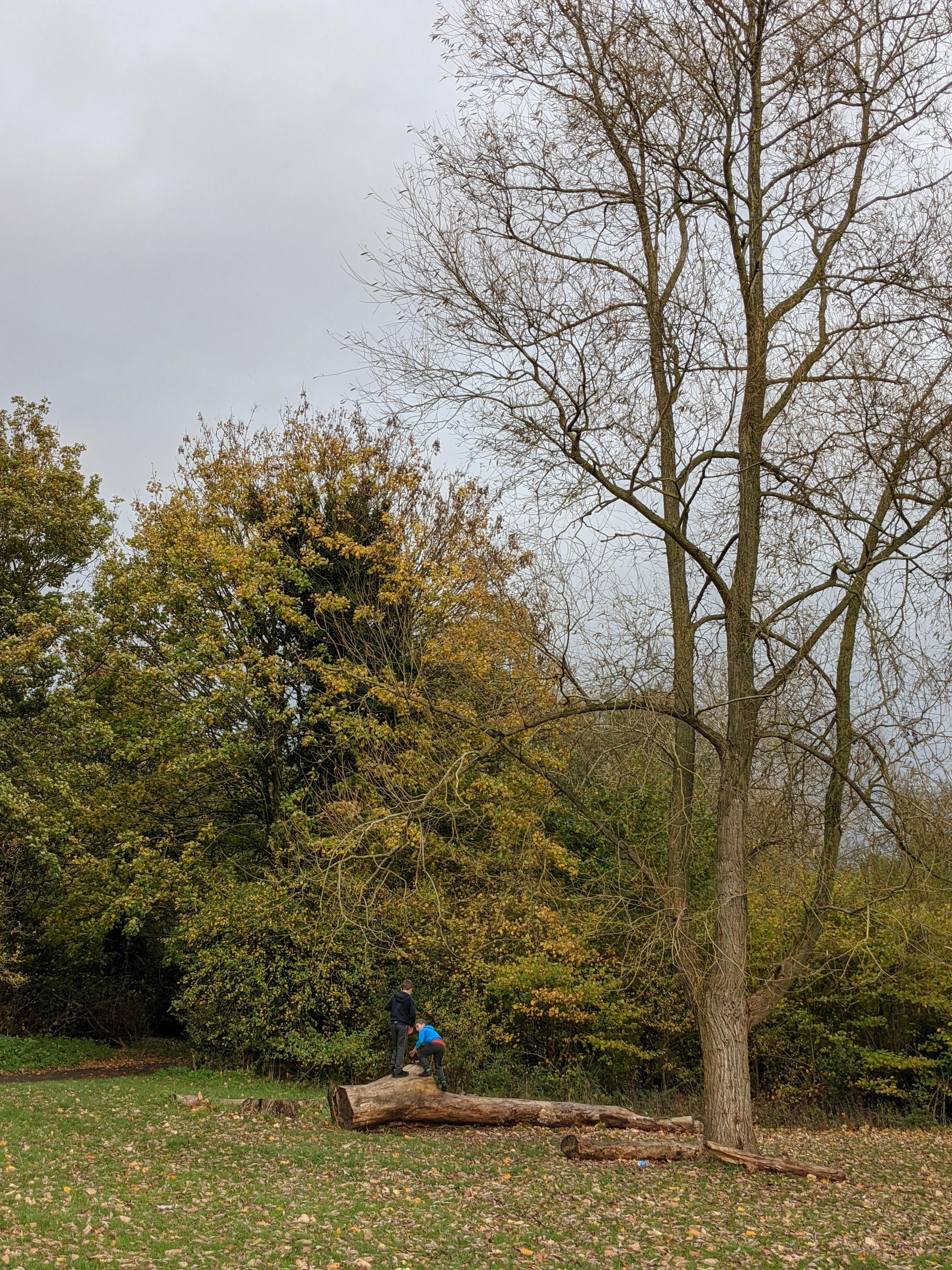 Marsh Park