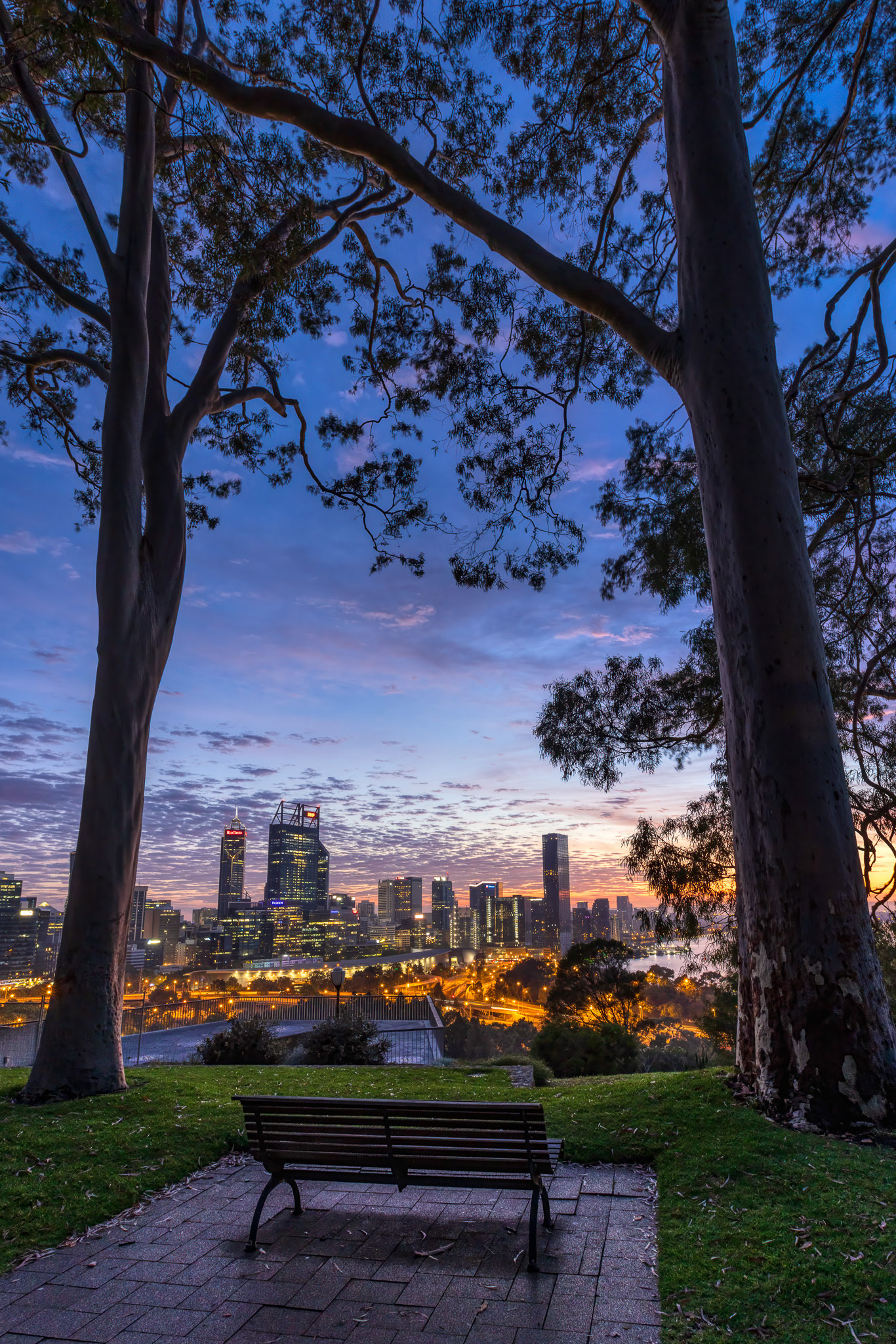 Kings Park, Perth