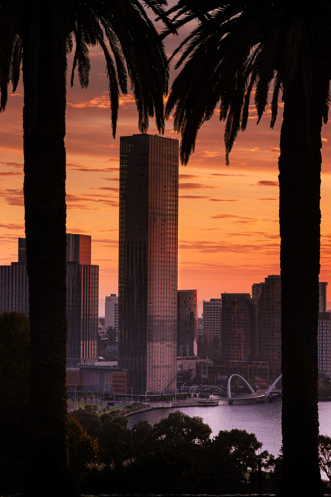 Perth CBD from Kings Park