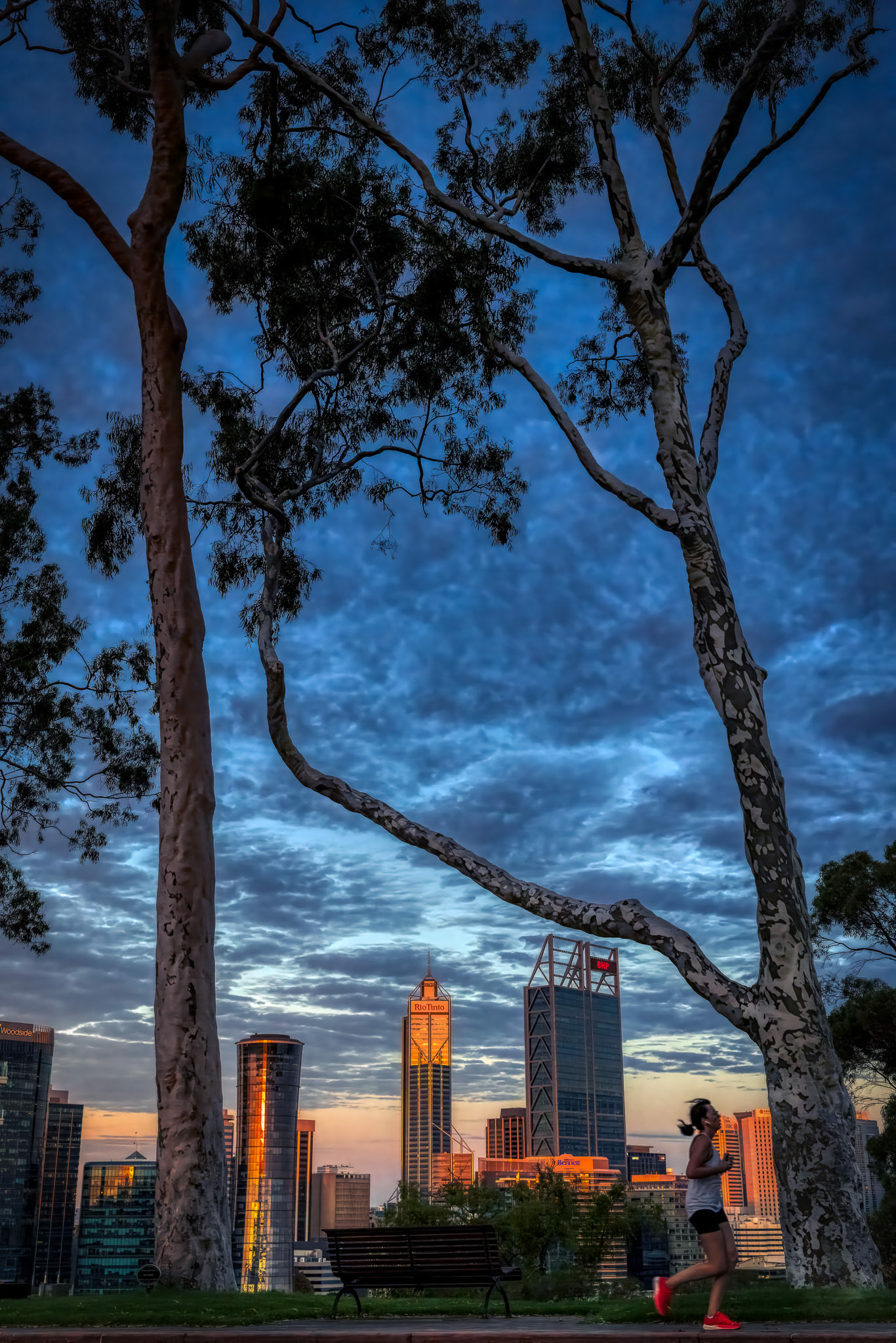 Kings Park, Perth