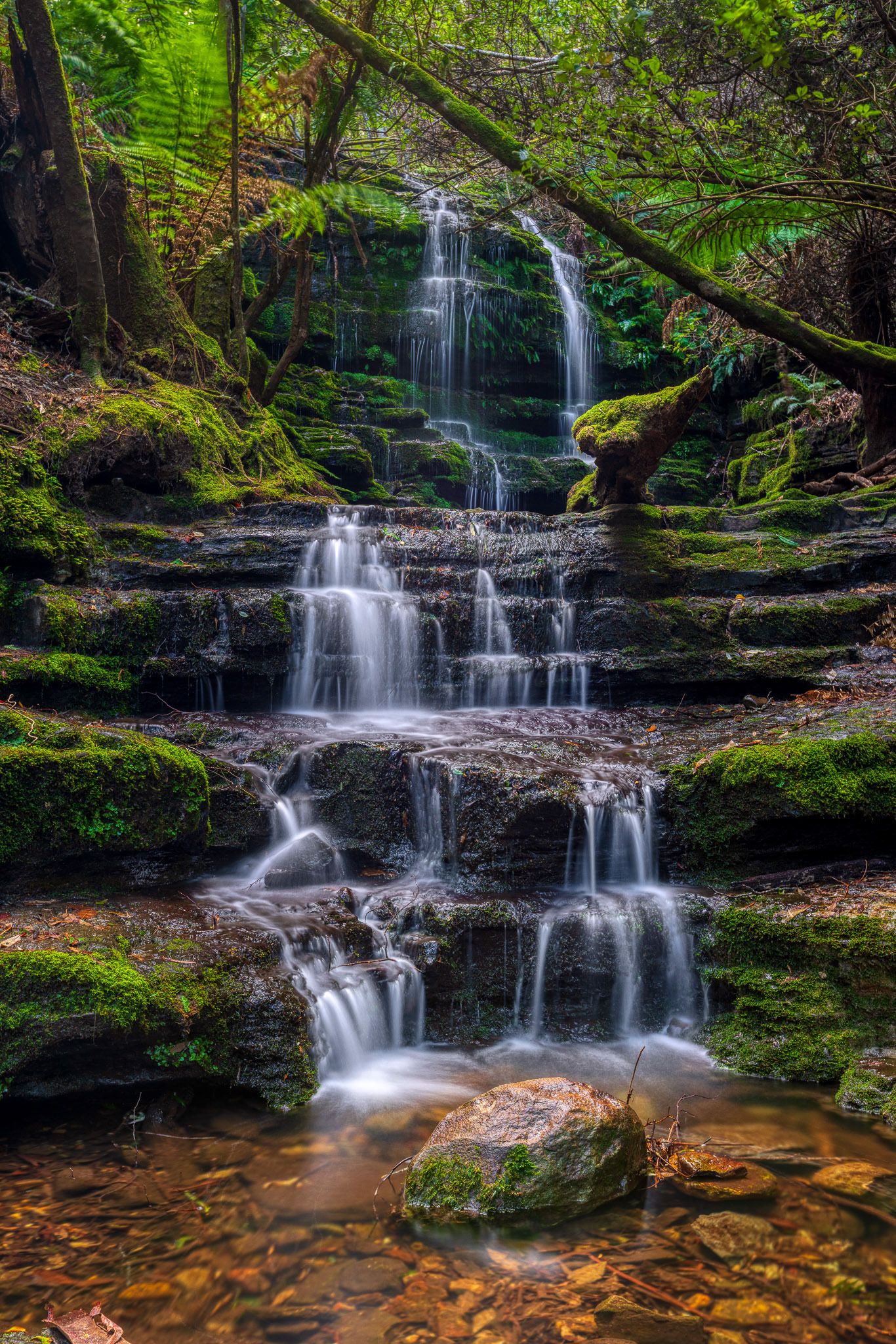Myrtle Gully Falls, Tasmania