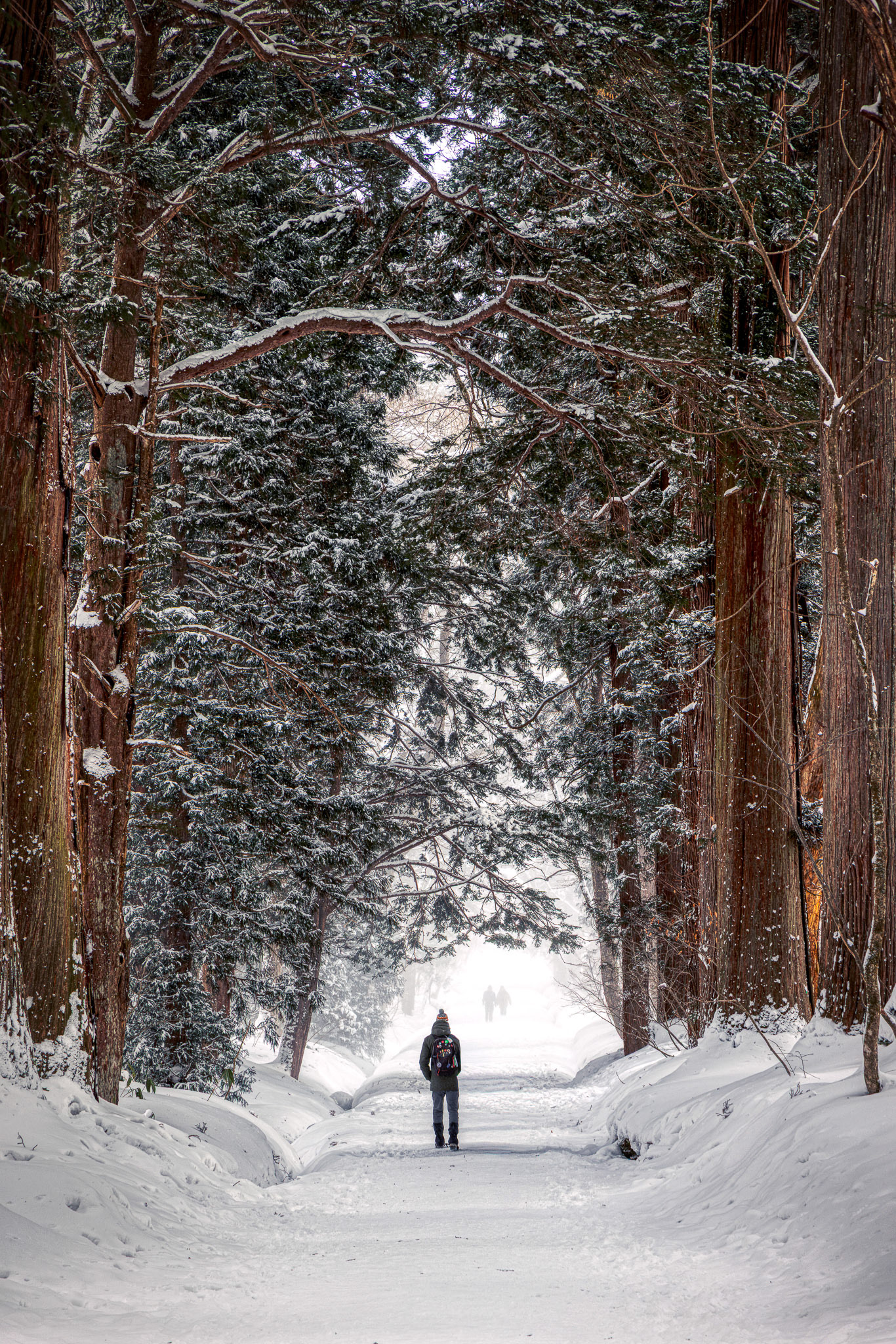 Cedar Avenue, Togakushi Shrine
