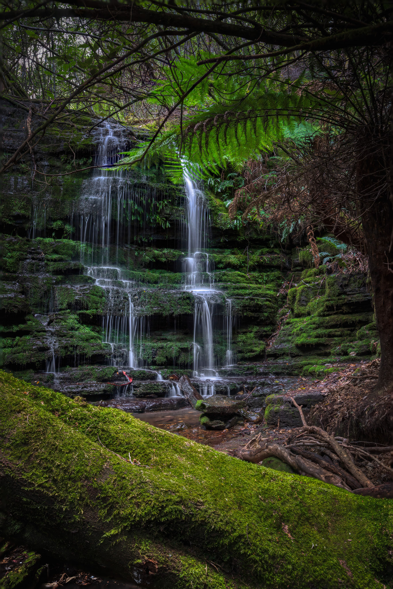 Myrtle Gully Falls, Tasmania