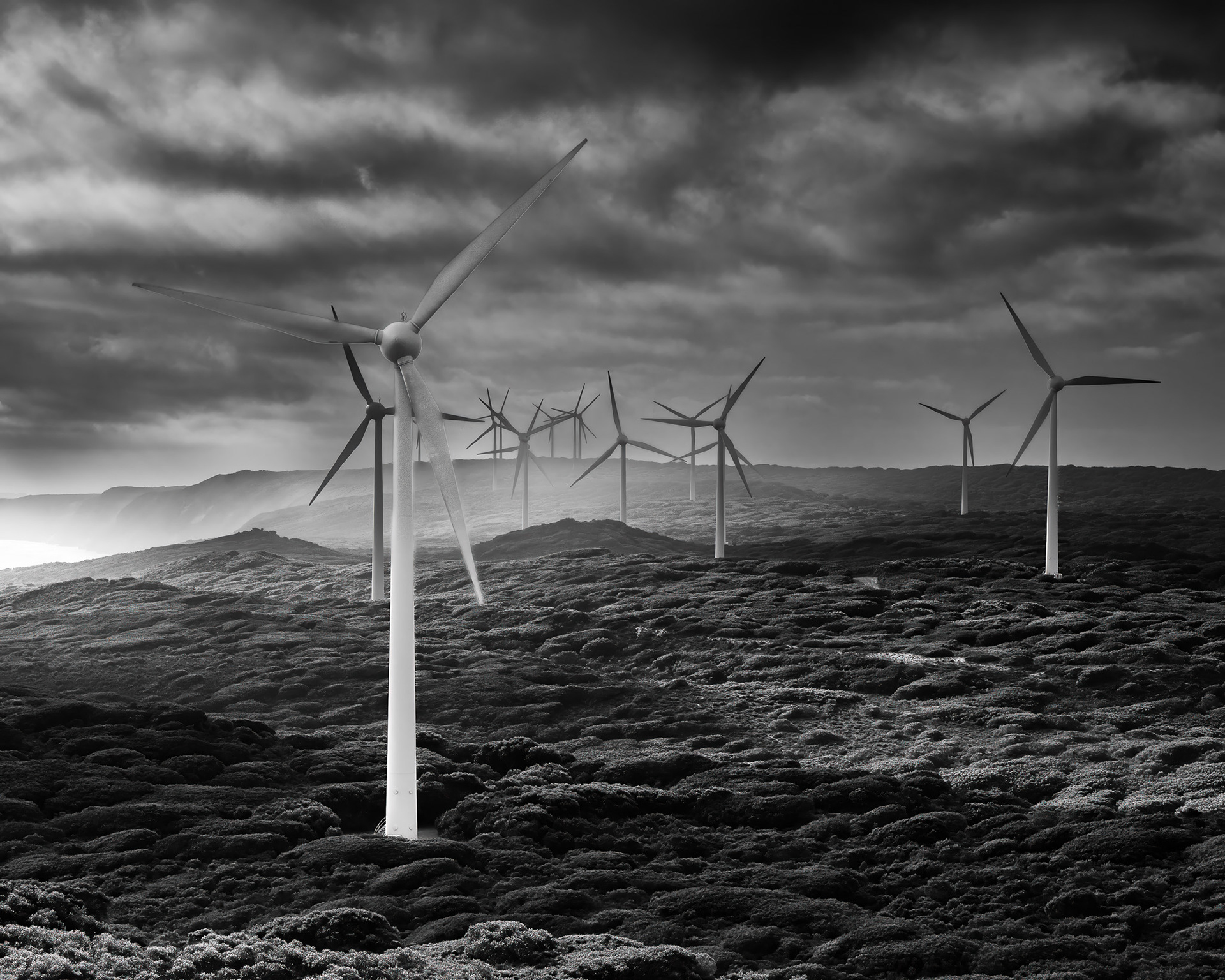 Albany Wind Farm, Albany