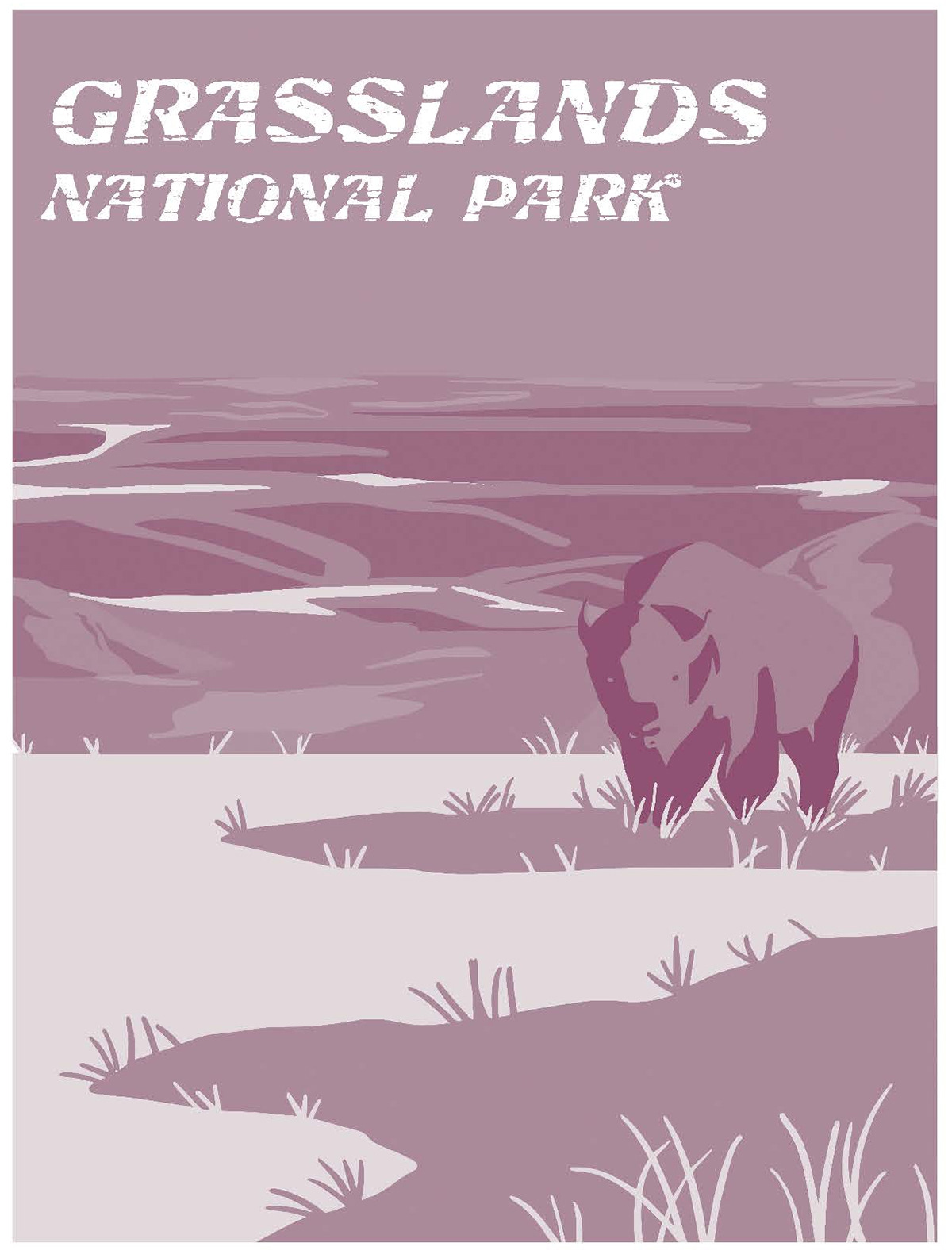 Grasslands National Park