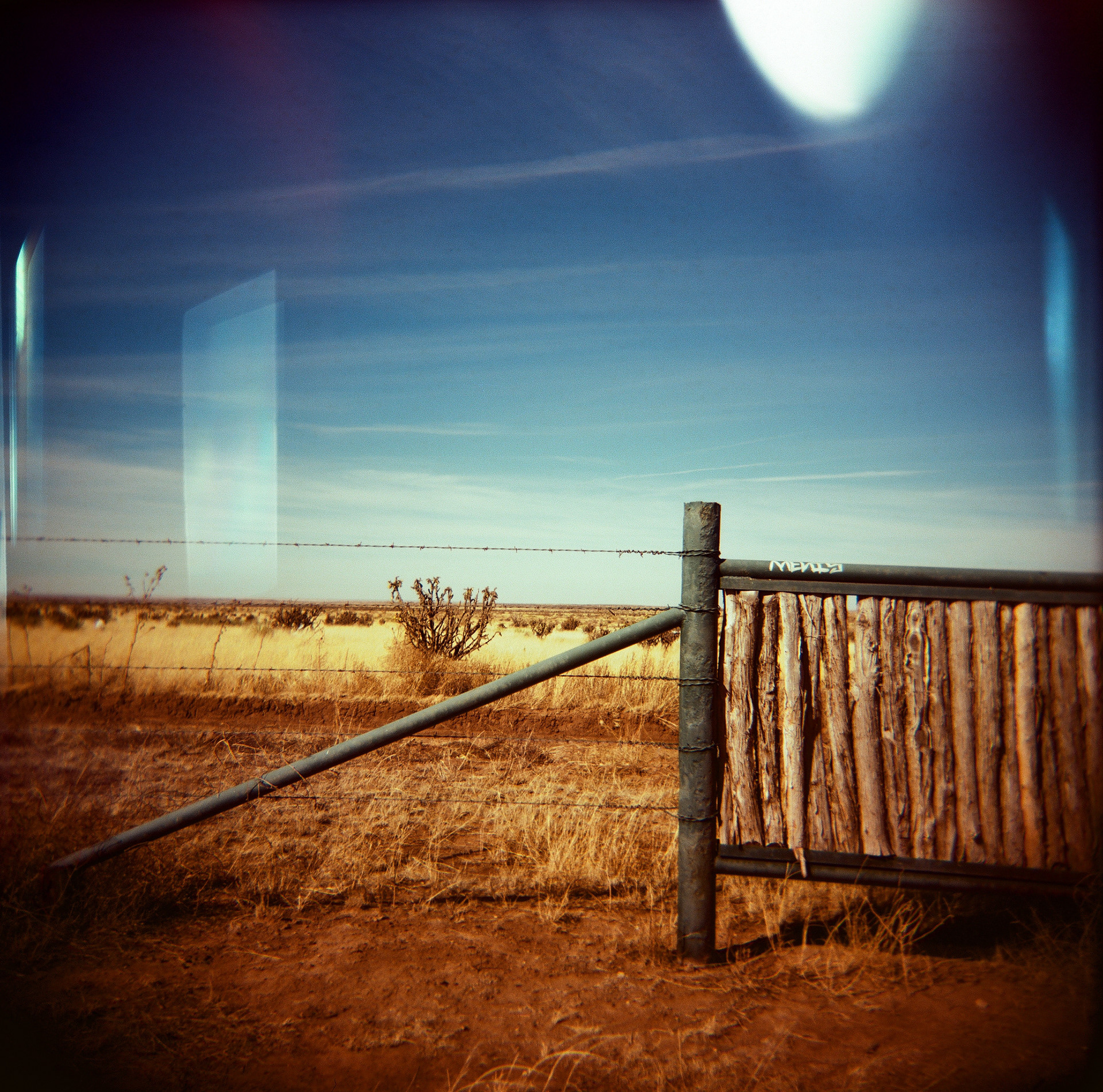 Holga | Extar 100