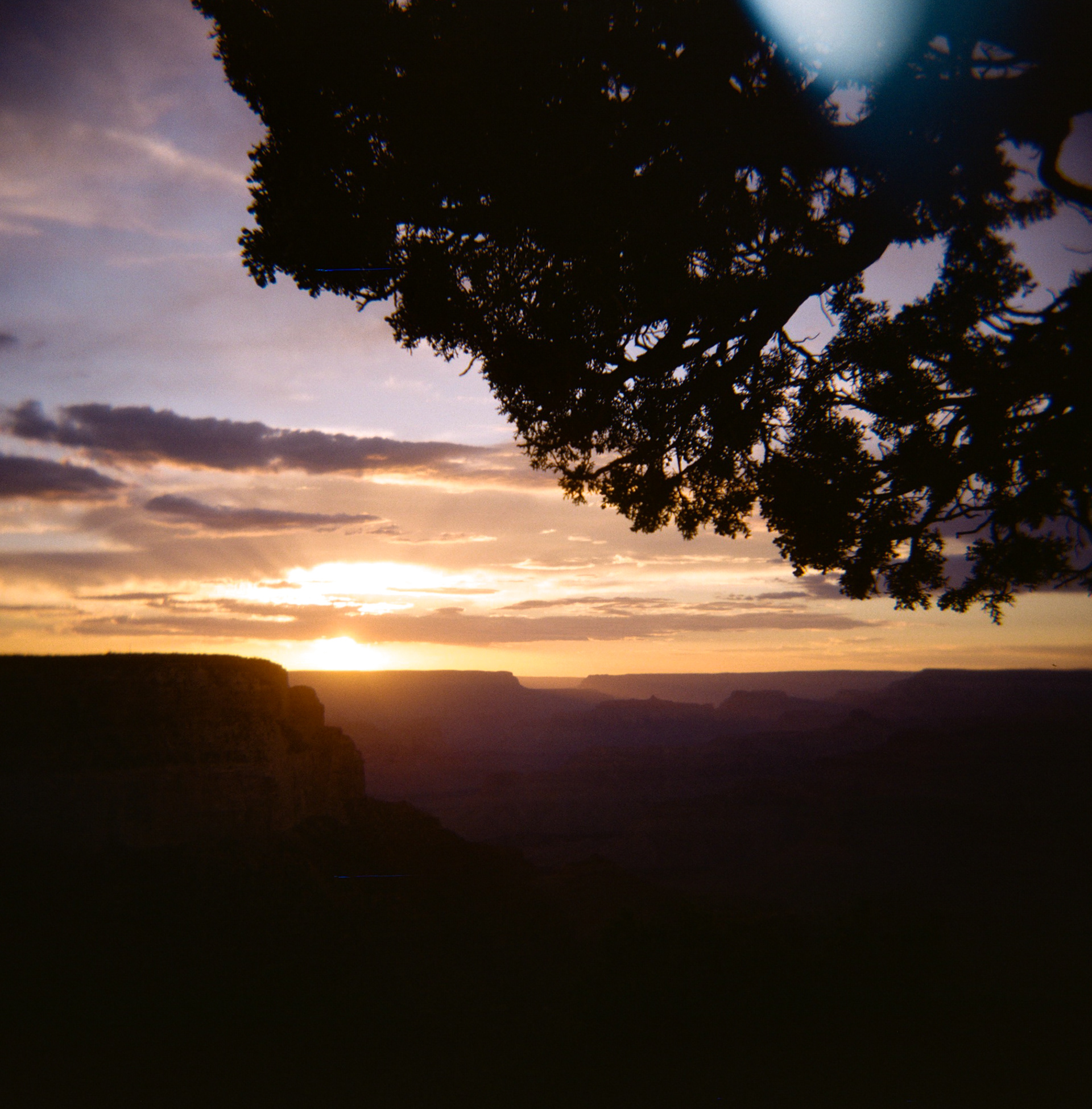 Holga | Grand Canyon National Park, AZ