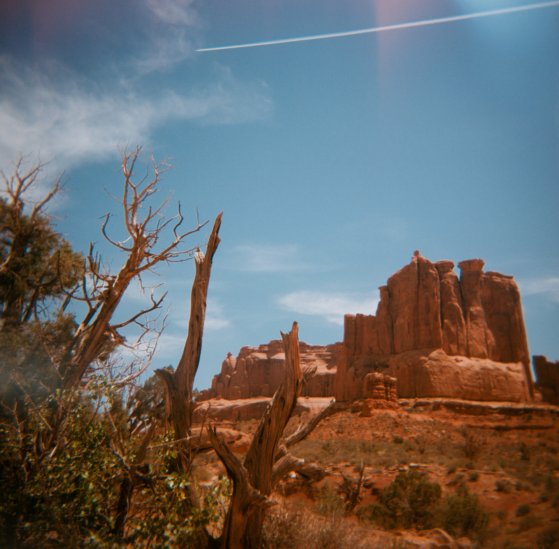 Holga | Extar 100 | Arches National Park, UT