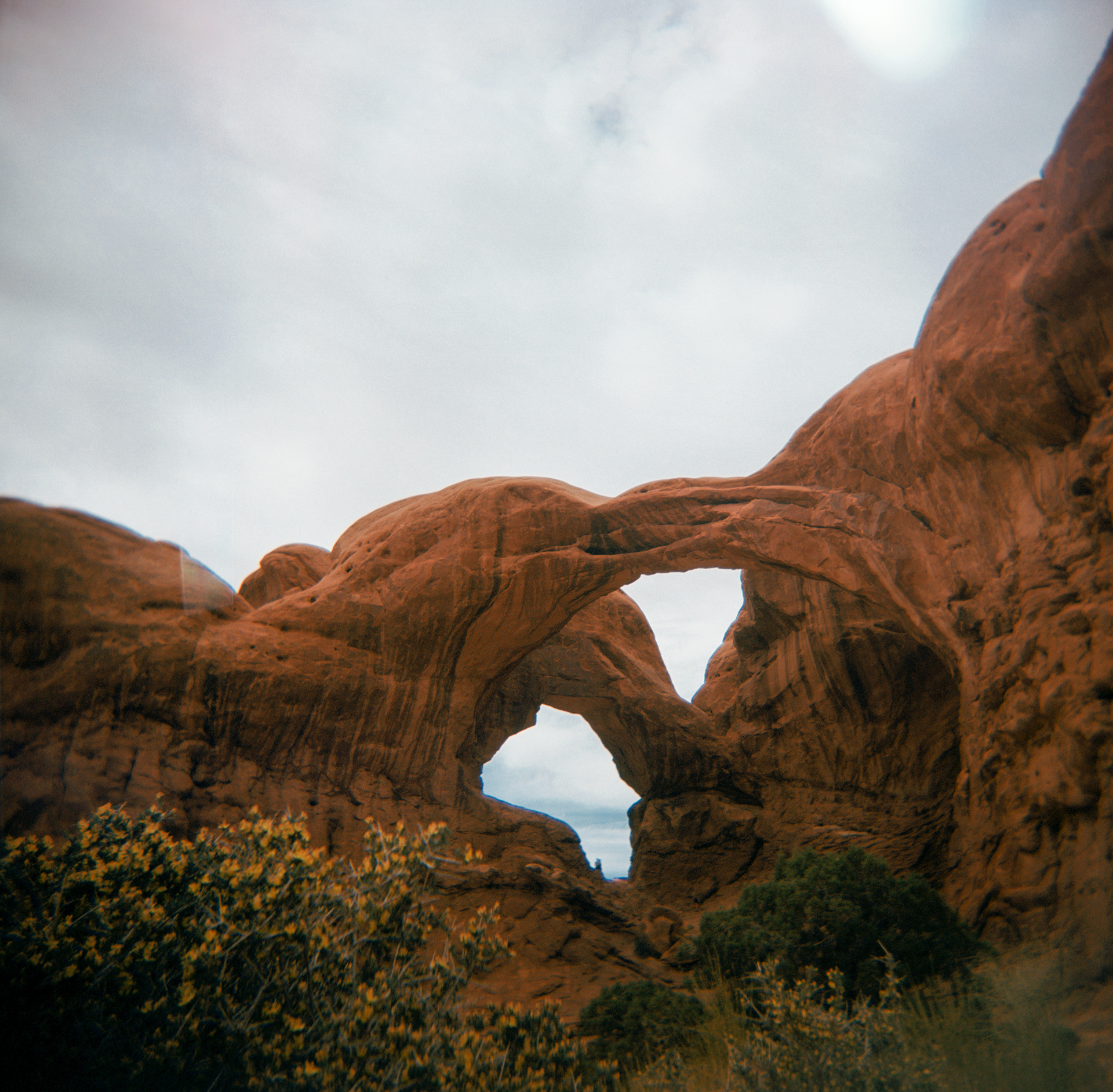Holga | Extar 100 | Arches National Park, UT