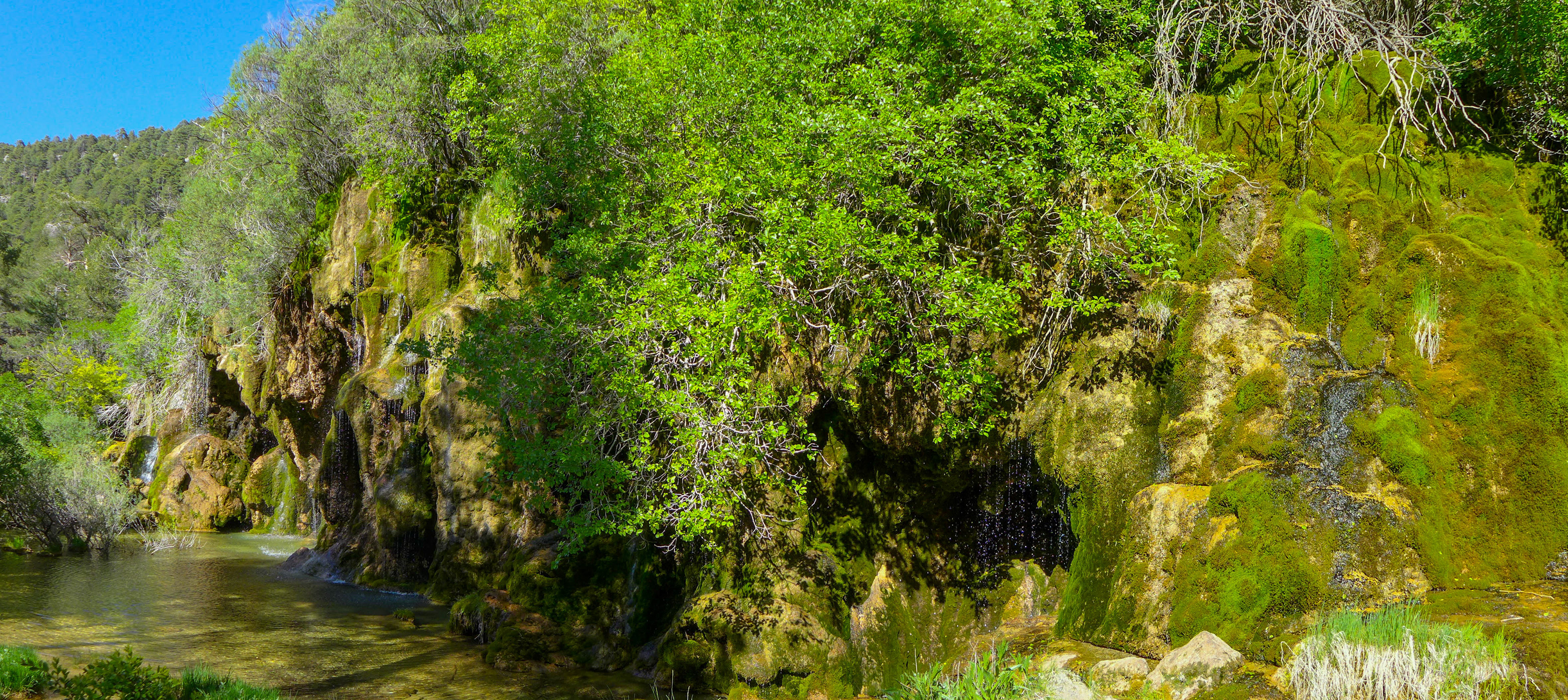 Nacimiento del Río Cuervo