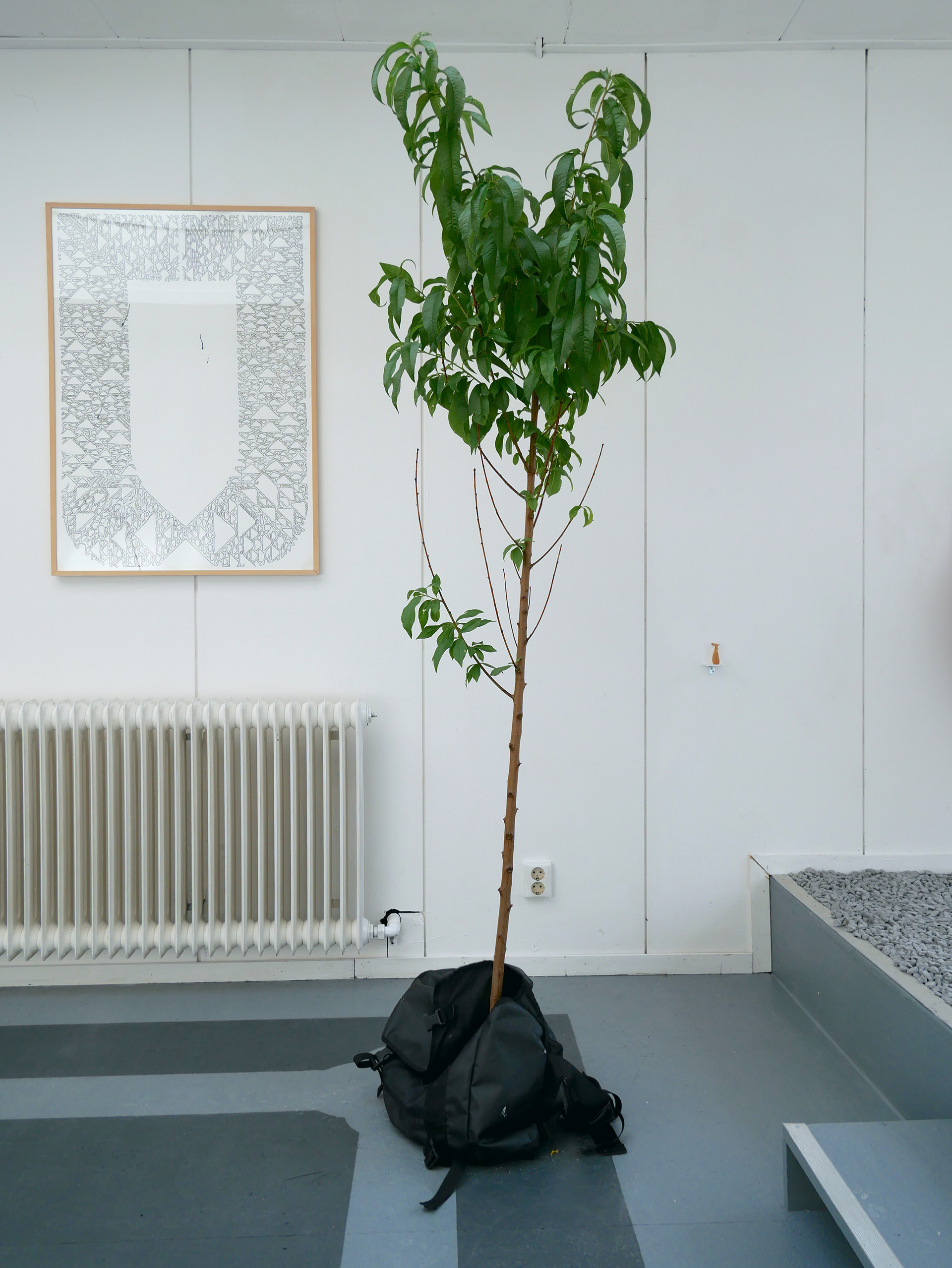 left: Jochem van den Wijngaard / center: Nishiko / right: Sachi Miyachi