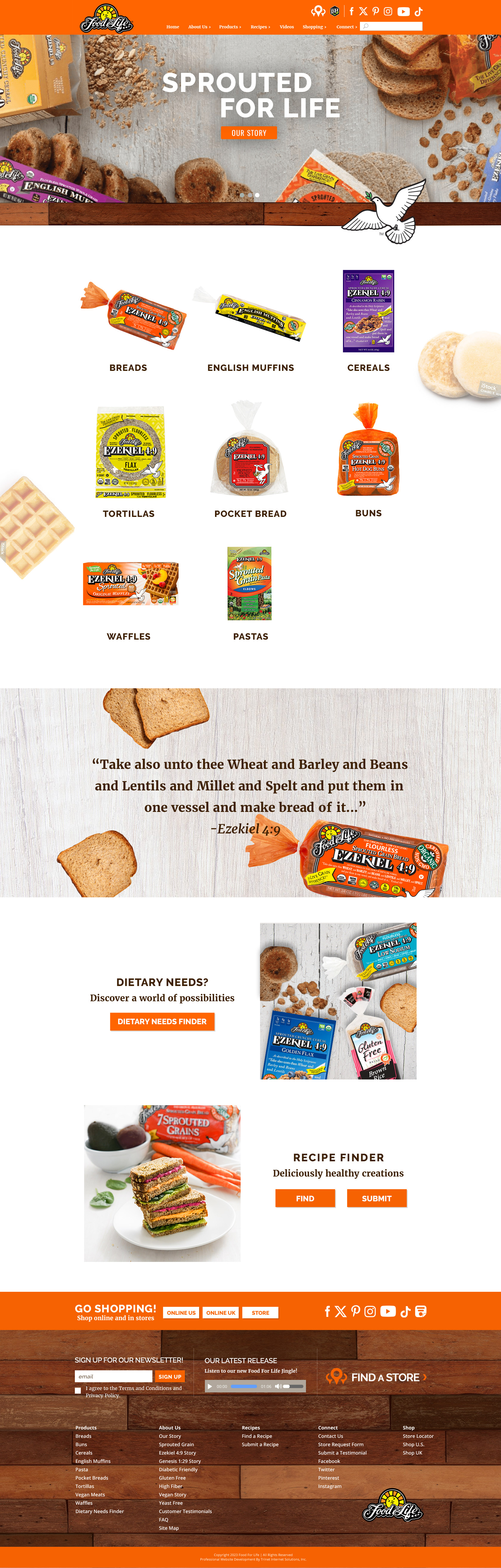 Design Option 2 Homepage