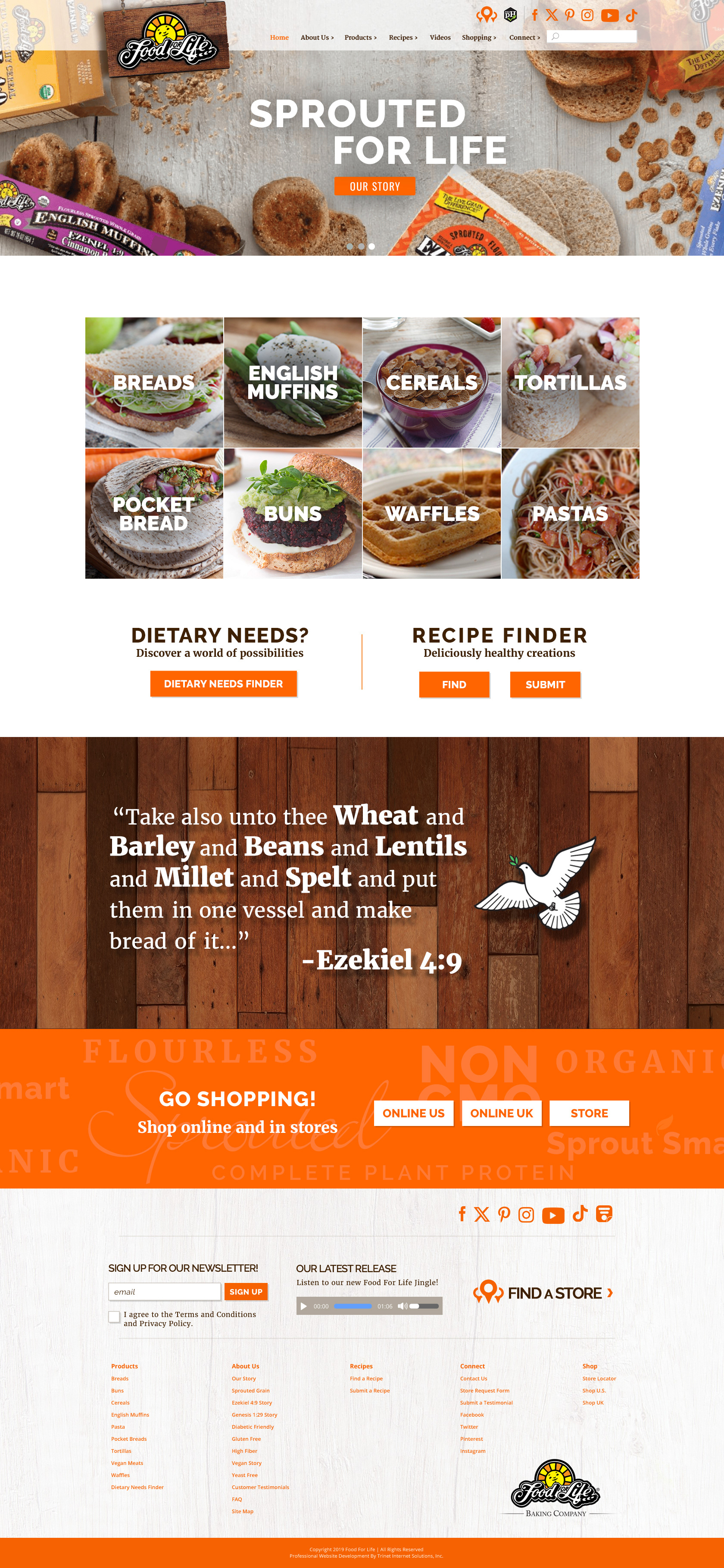 Design Option 1 Homepage