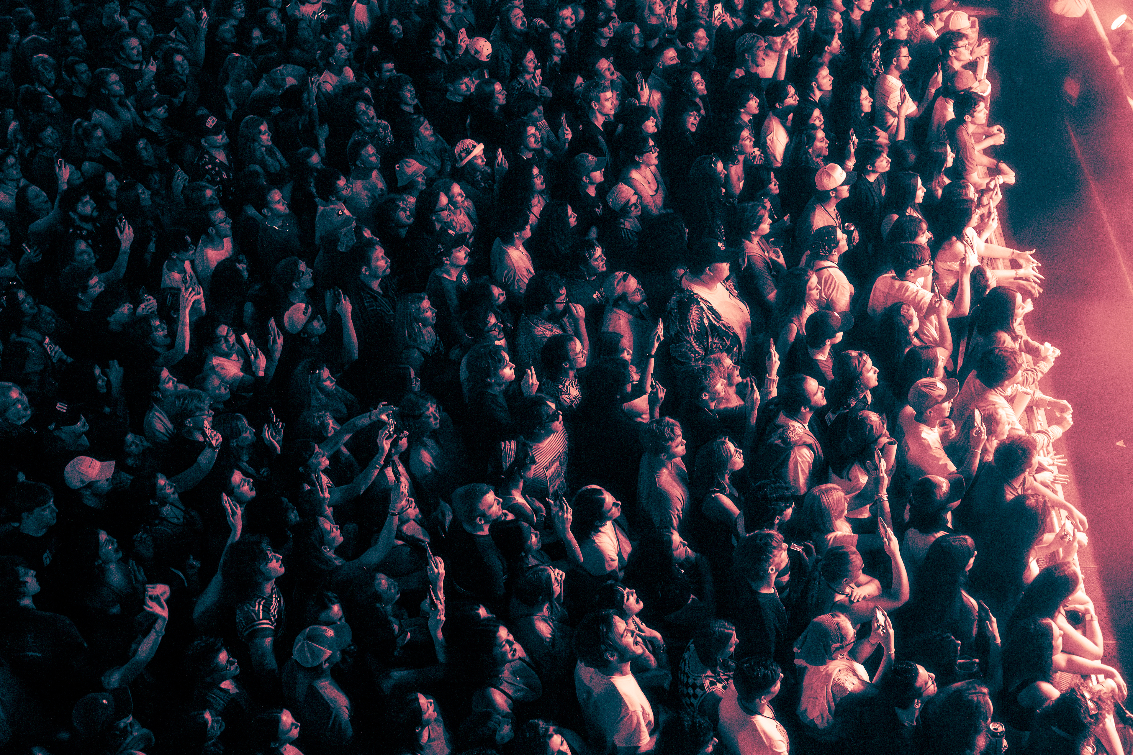 peach pit @ house of blues orlando