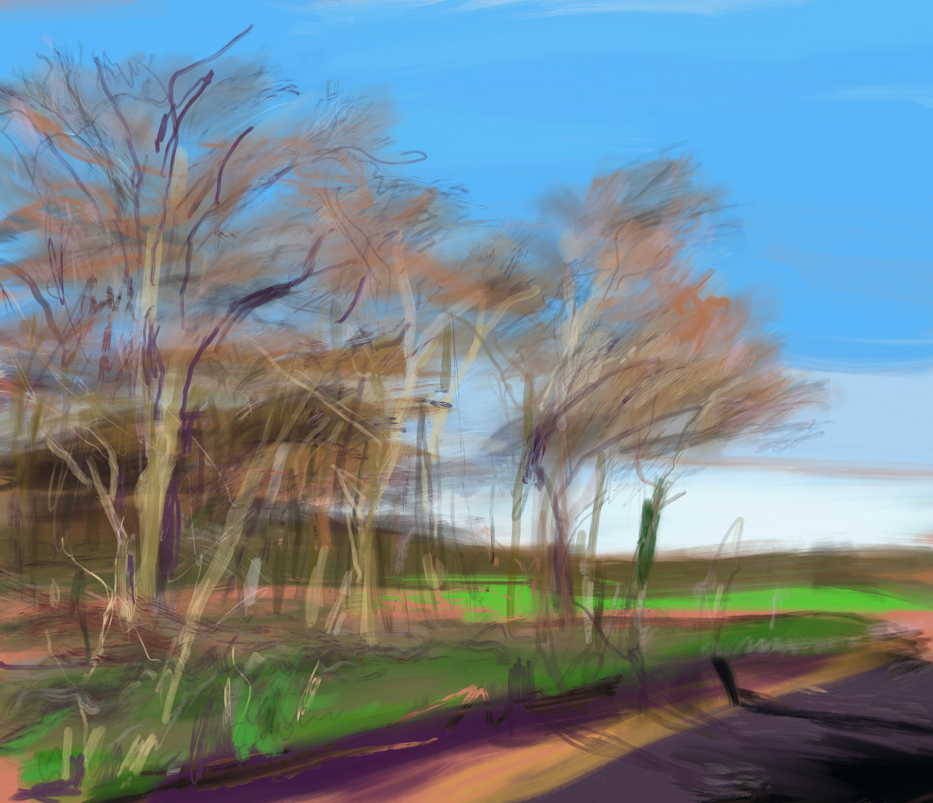 Freely-sketched bare trees on a bright winter day.
