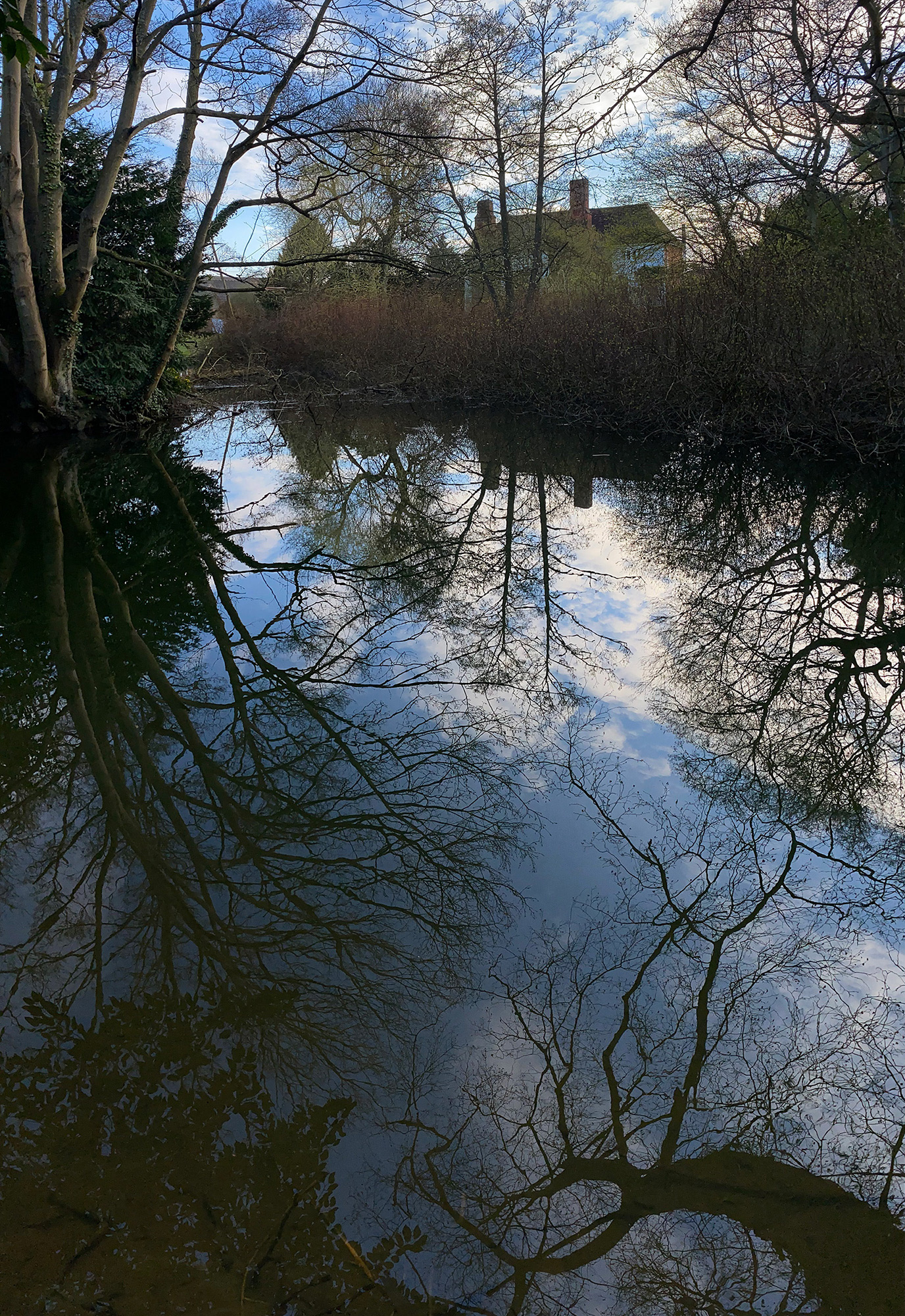 A colour photo of bare trees and blue sky reflected by the still surface of a river