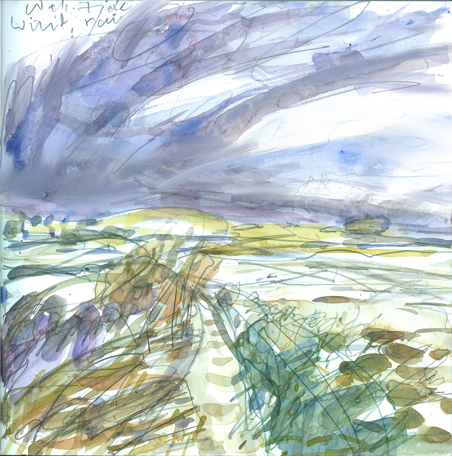 A rapid watercolour study of low marshland as a purple-blue storm cloud approaches
