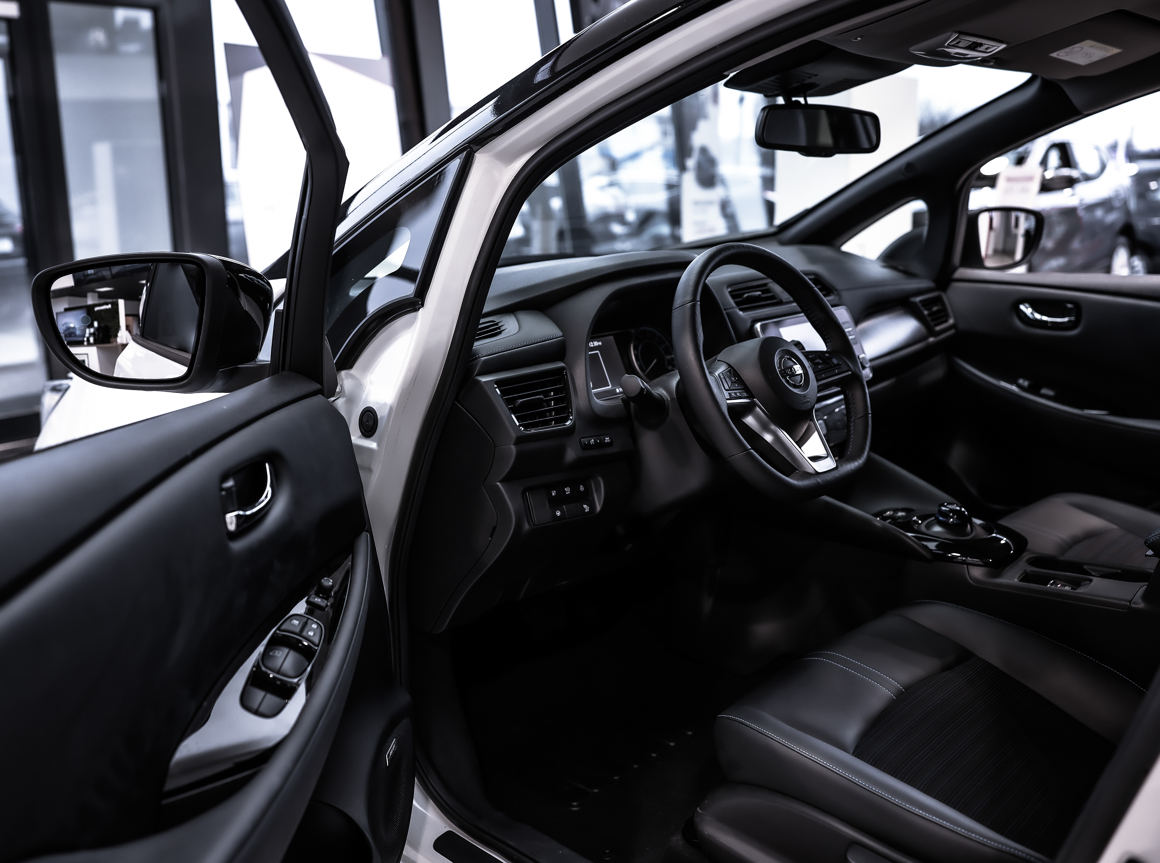 Nissan Leaf / 2020