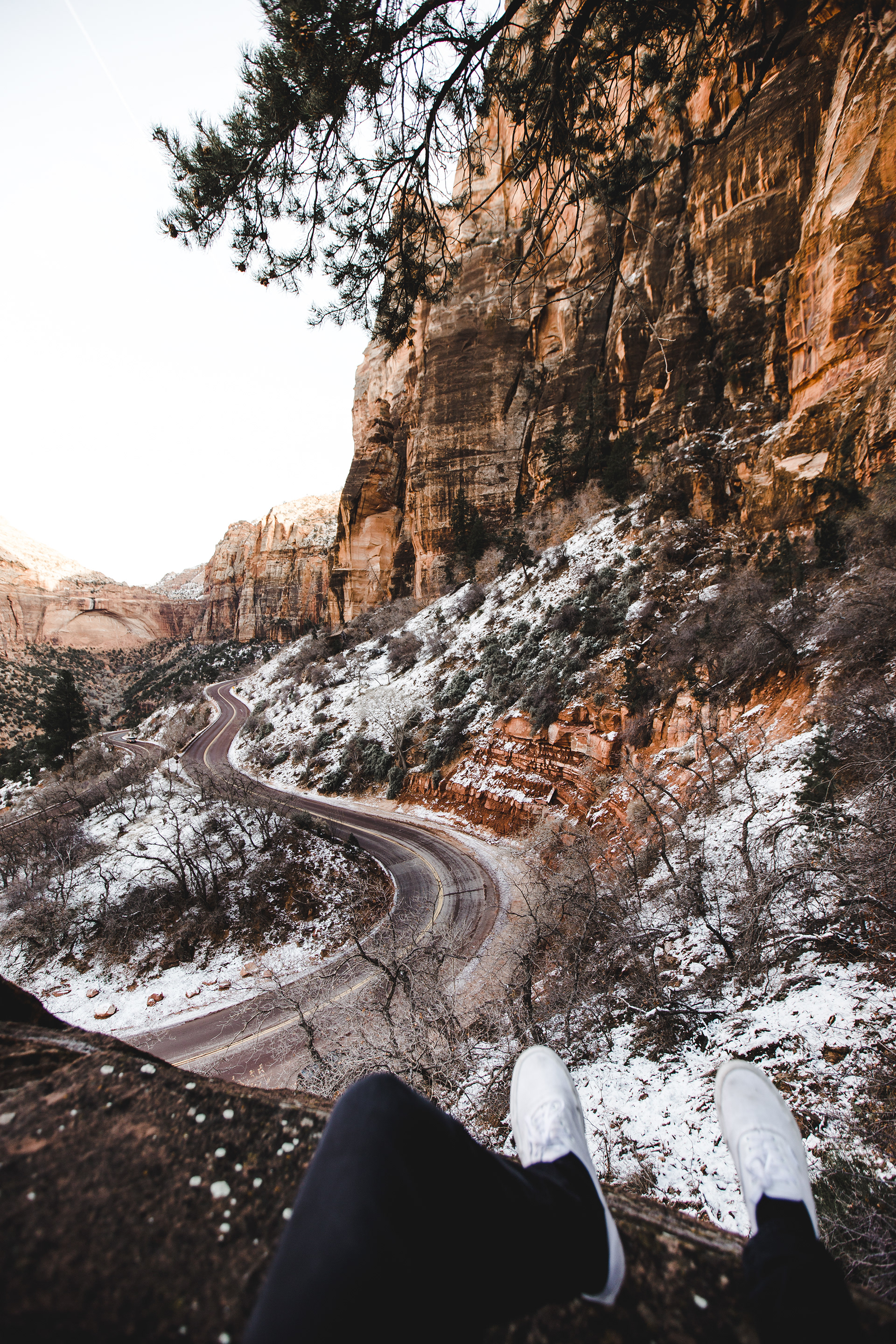 Zion in the Winter