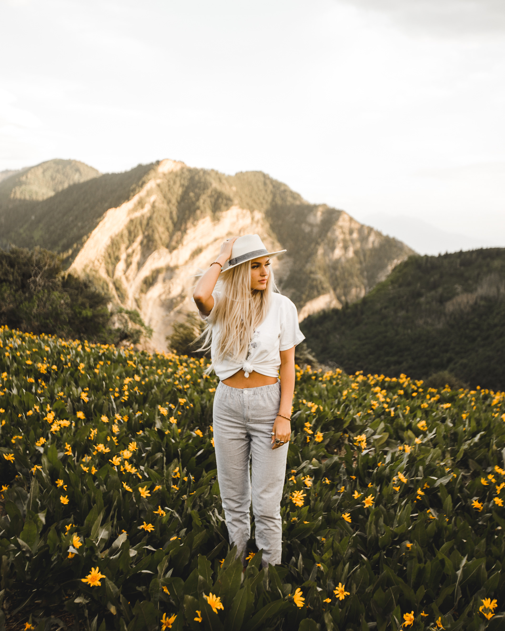 Natalie Yellow Flower Field