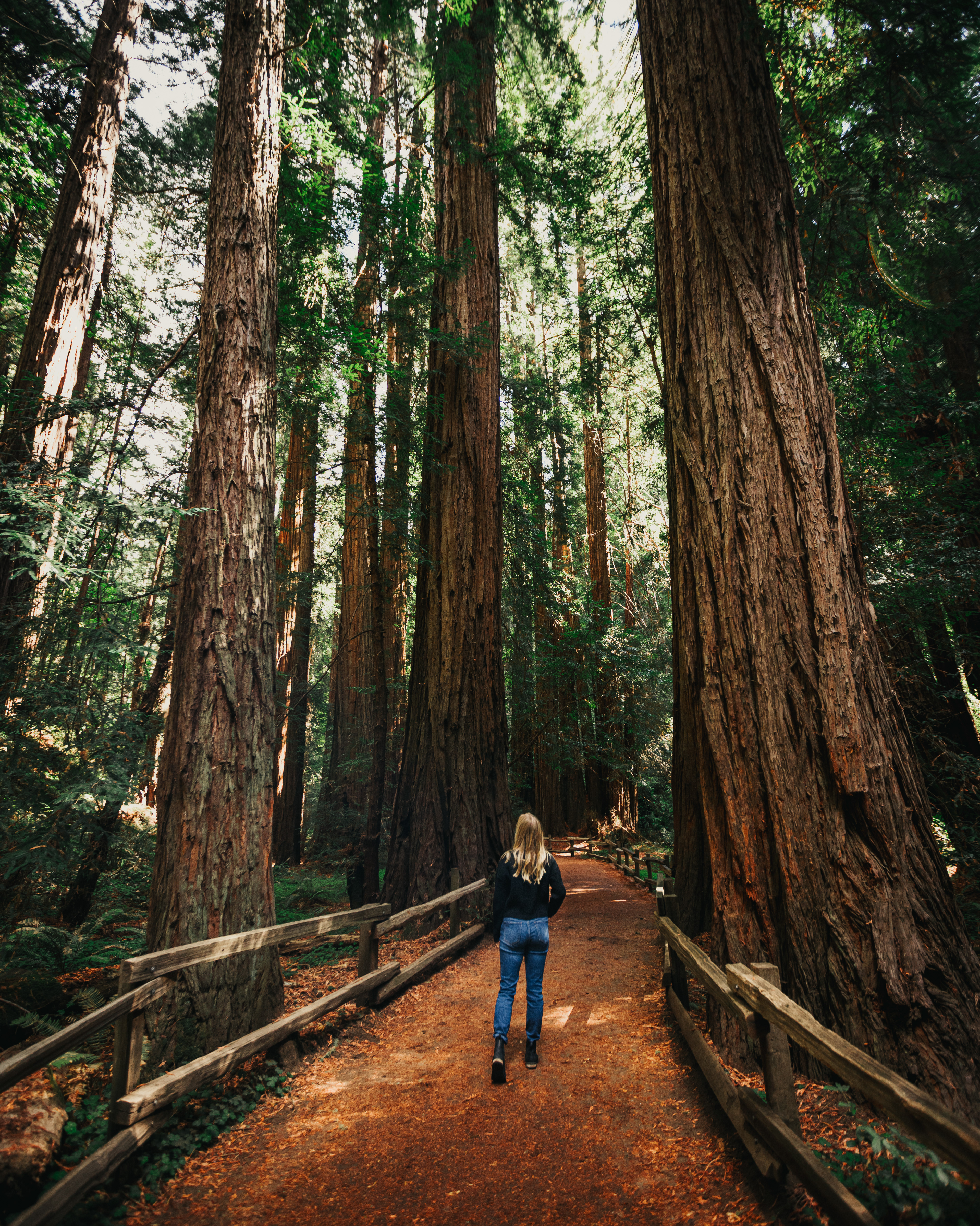 Sara in Muir Woods