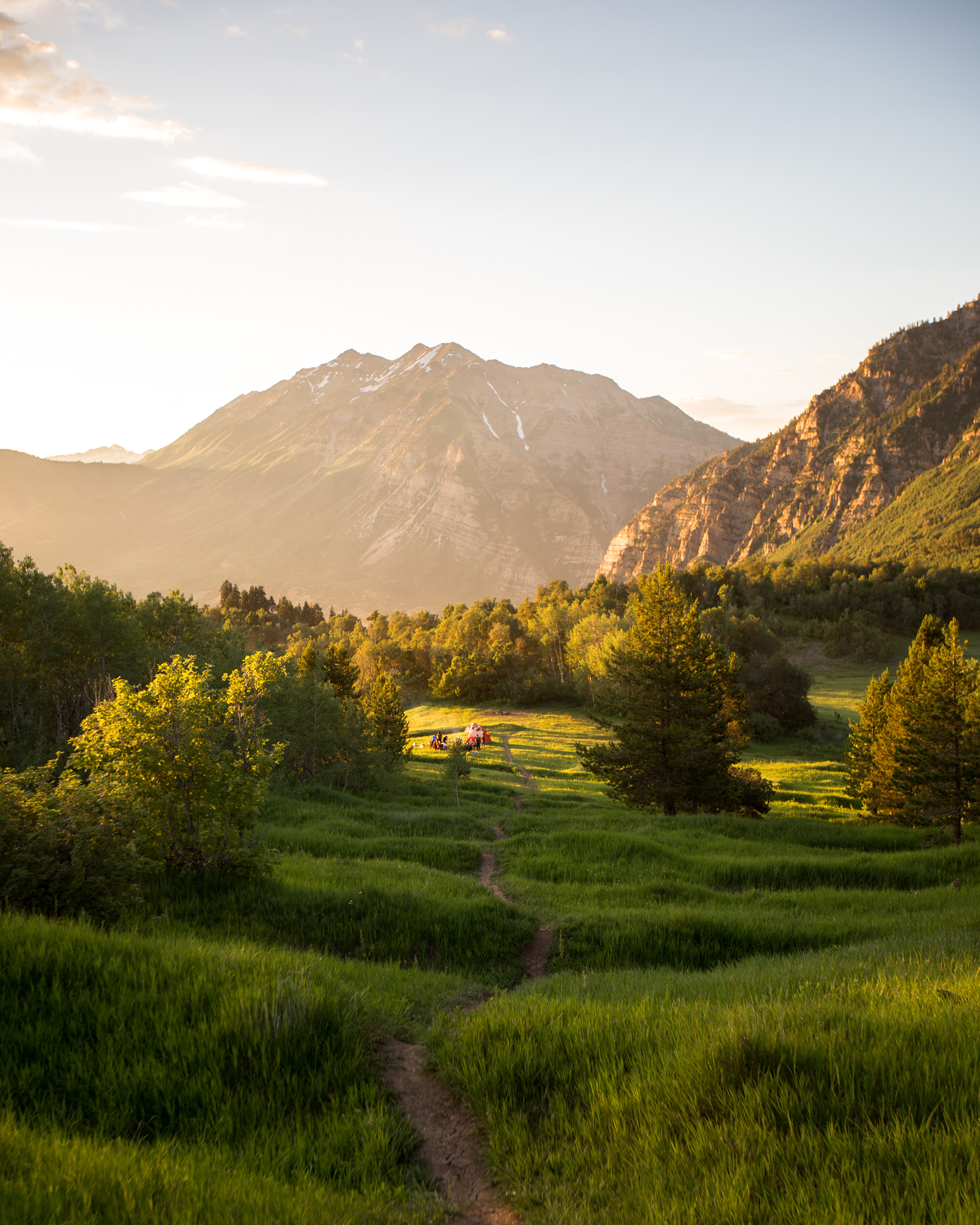 Sunset in the Meadow