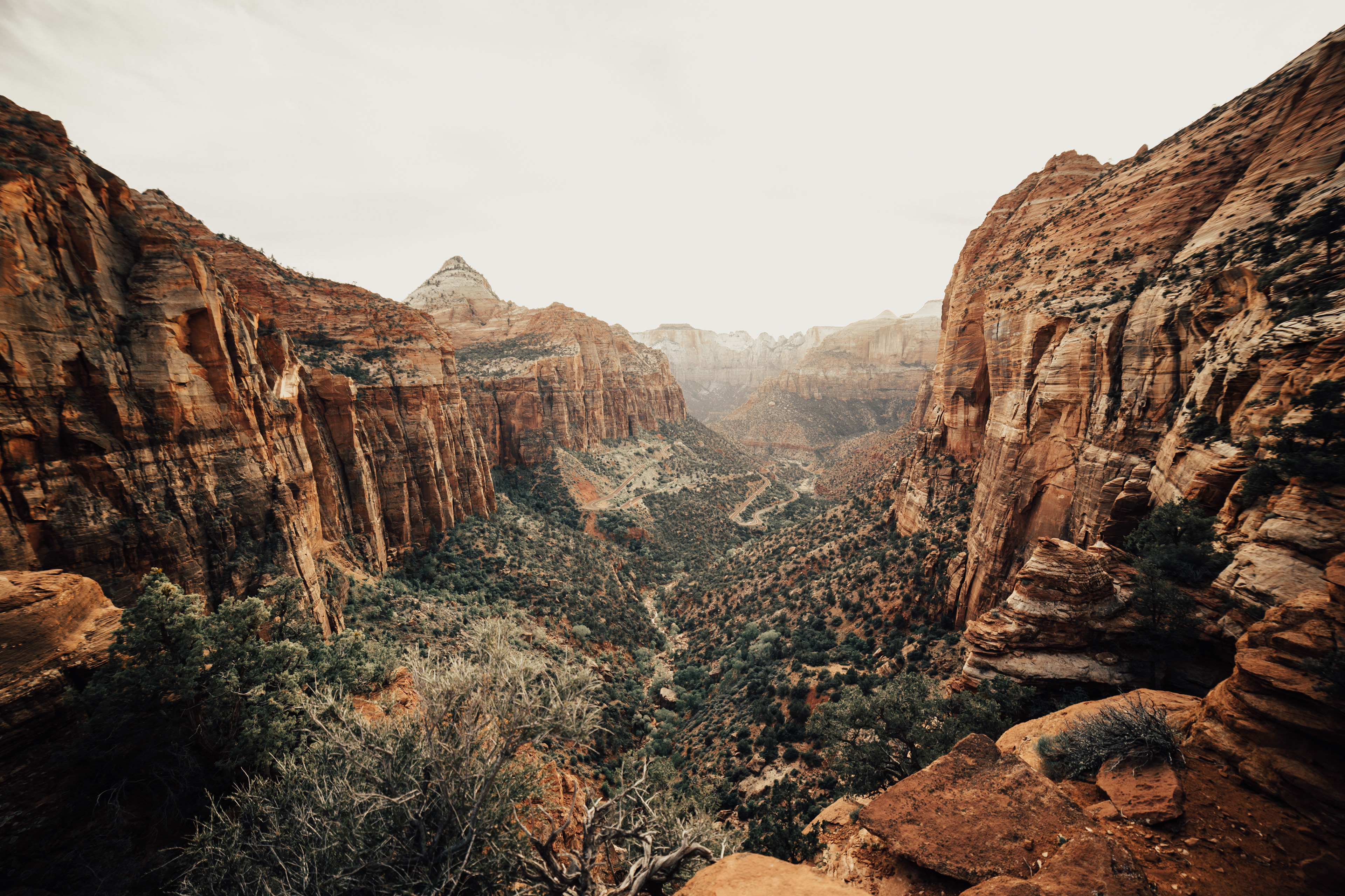 Zion Canyon Overlook