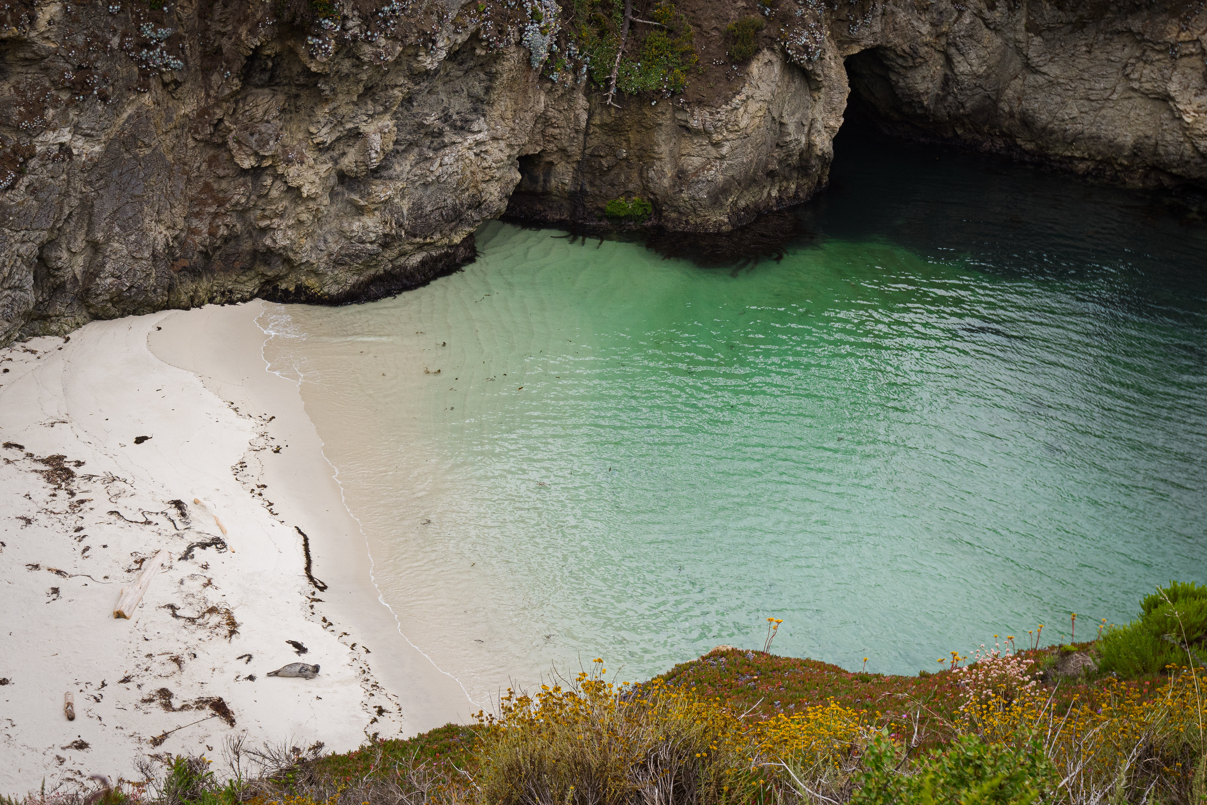 China Cove - Point Lobos