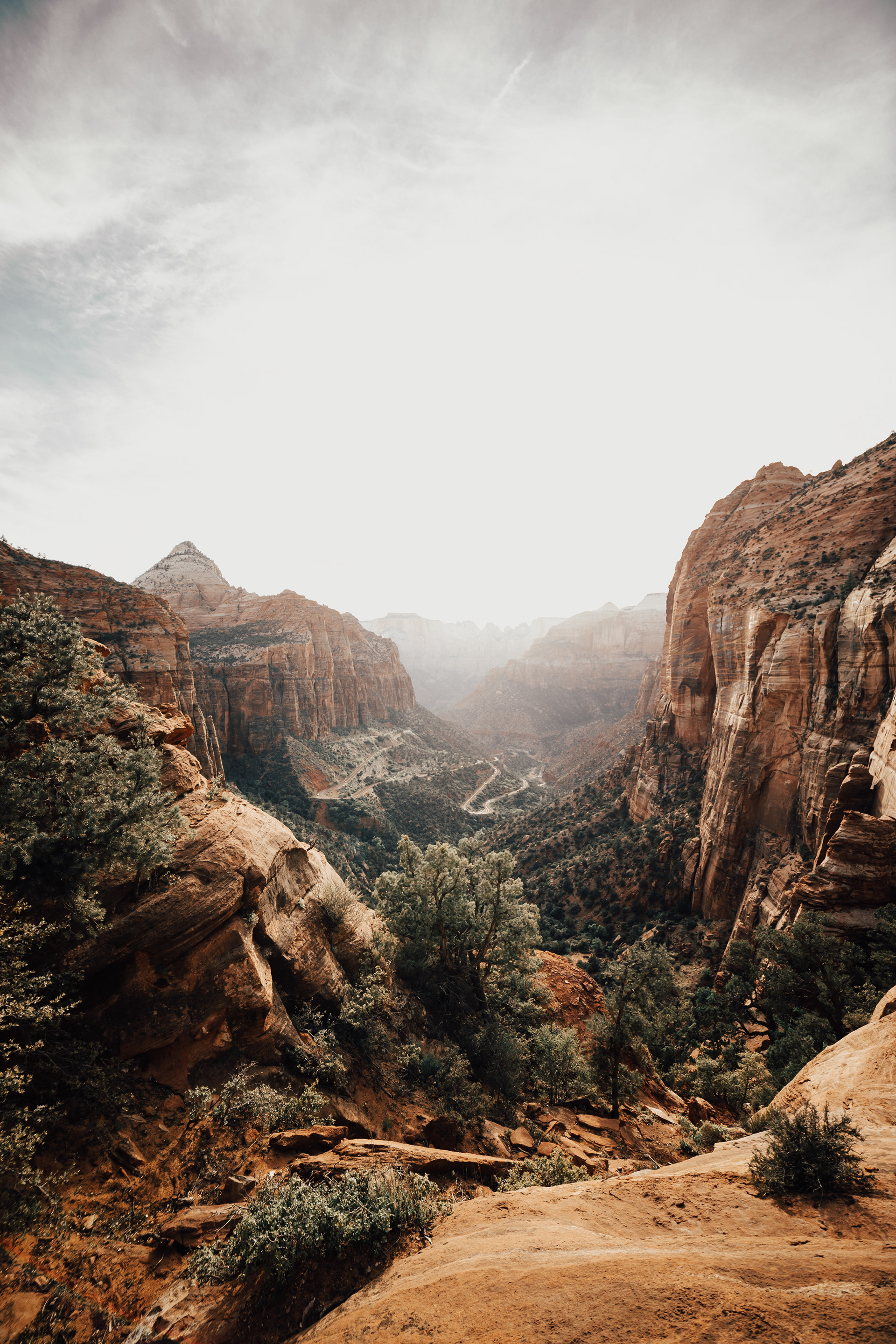 Zion Canyon Overlook