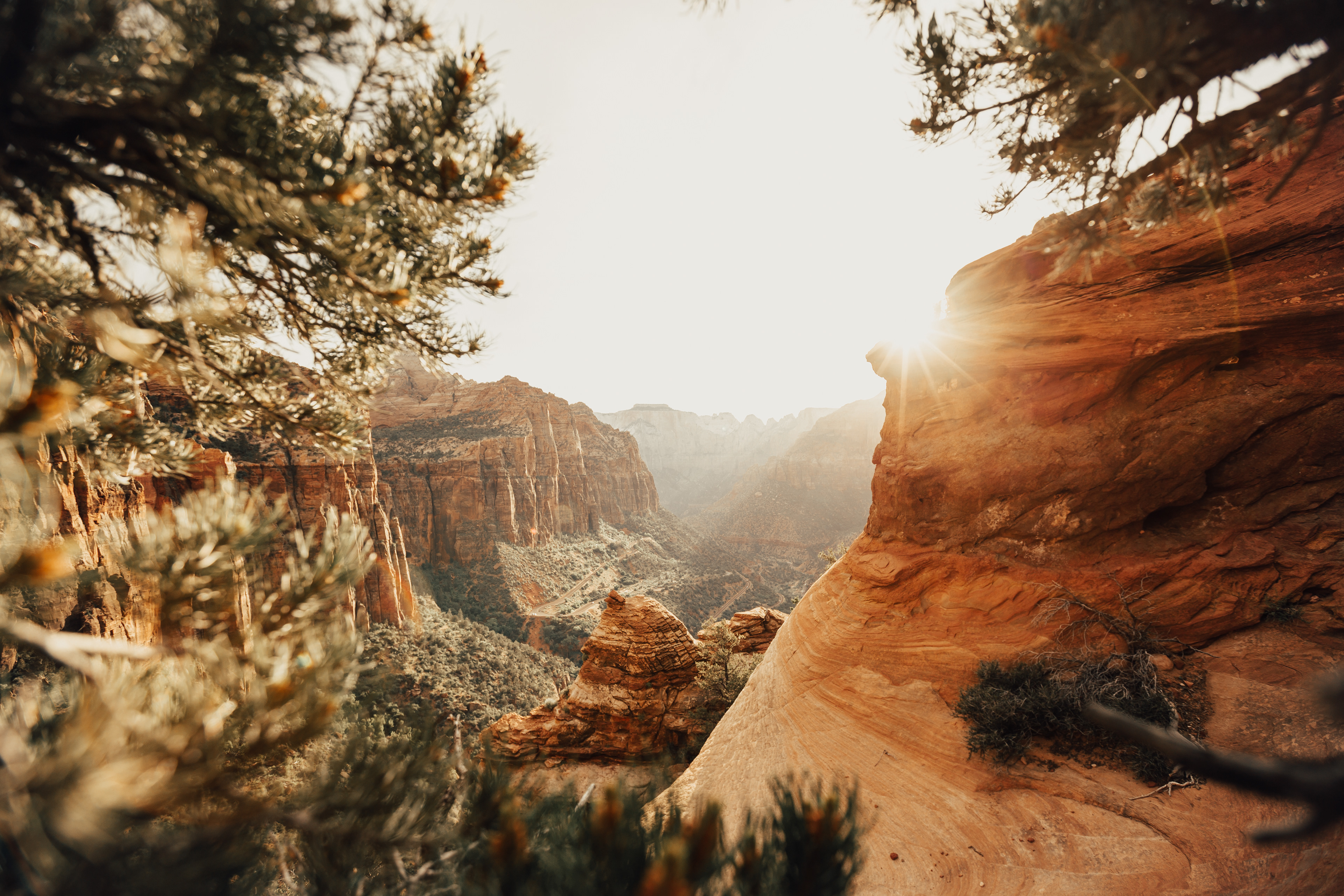 Zion Canyon Overlook