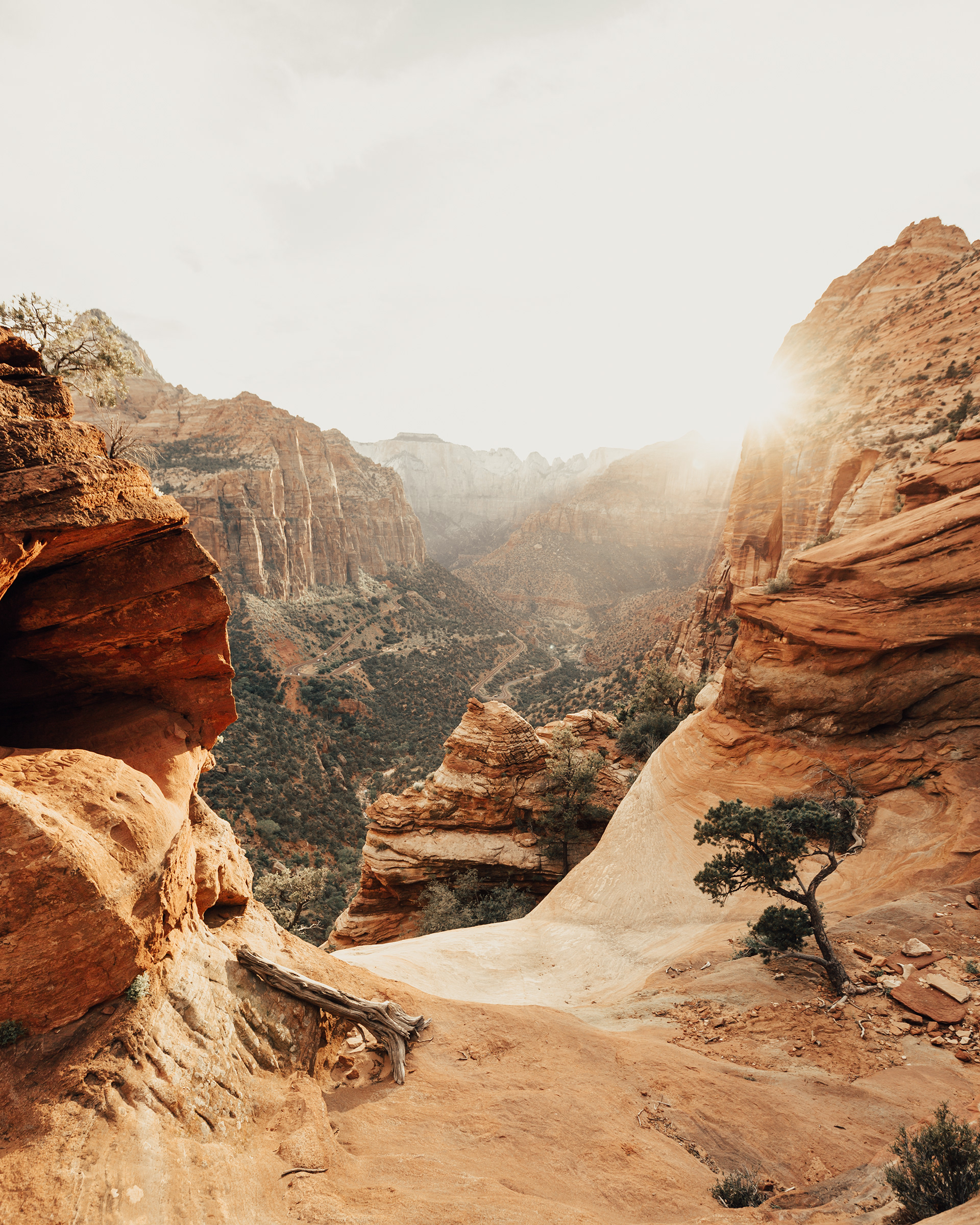 Zion Canyon Overlook