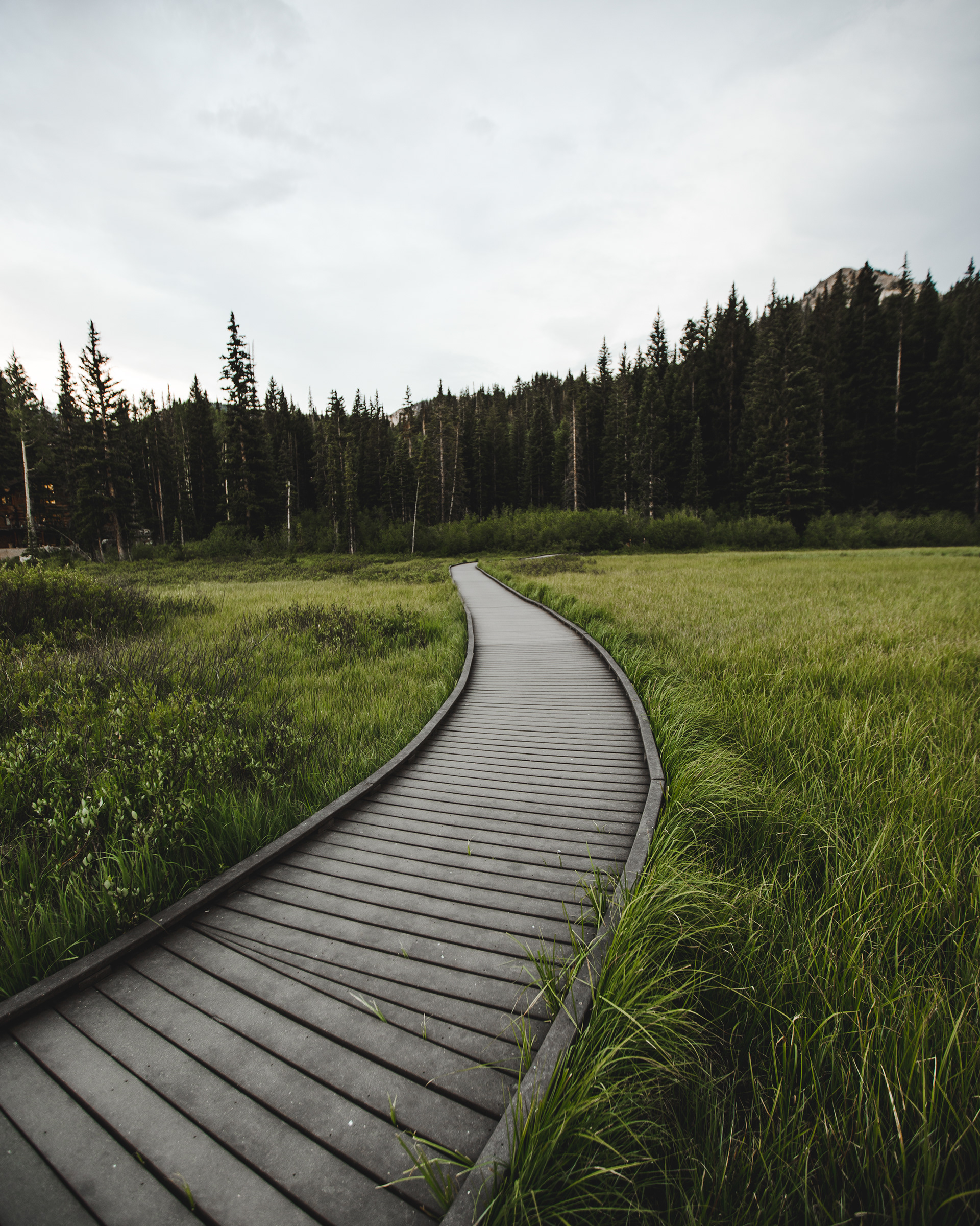 Silver Lake Boardwalk
