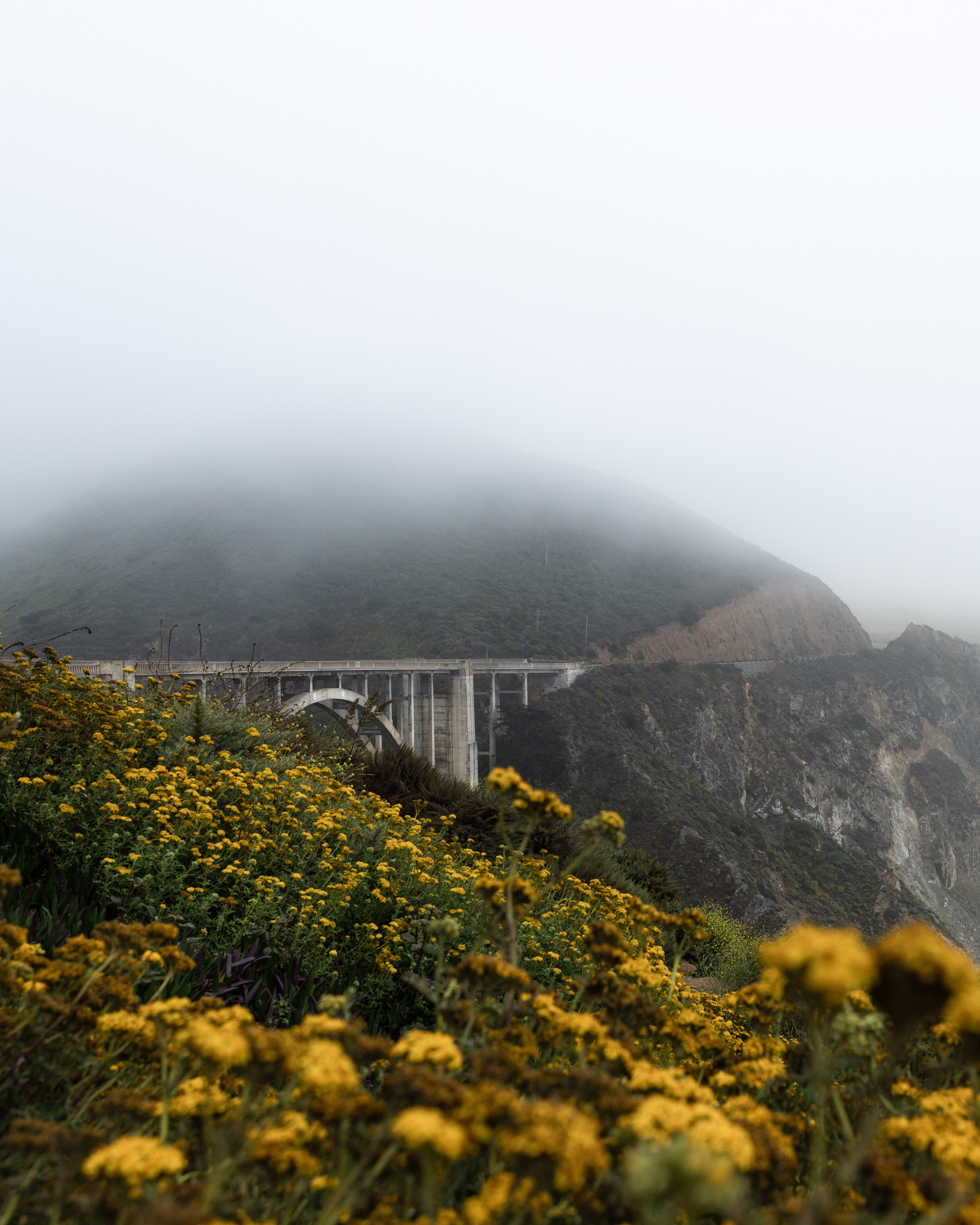 Bixby Bridge in the Fog