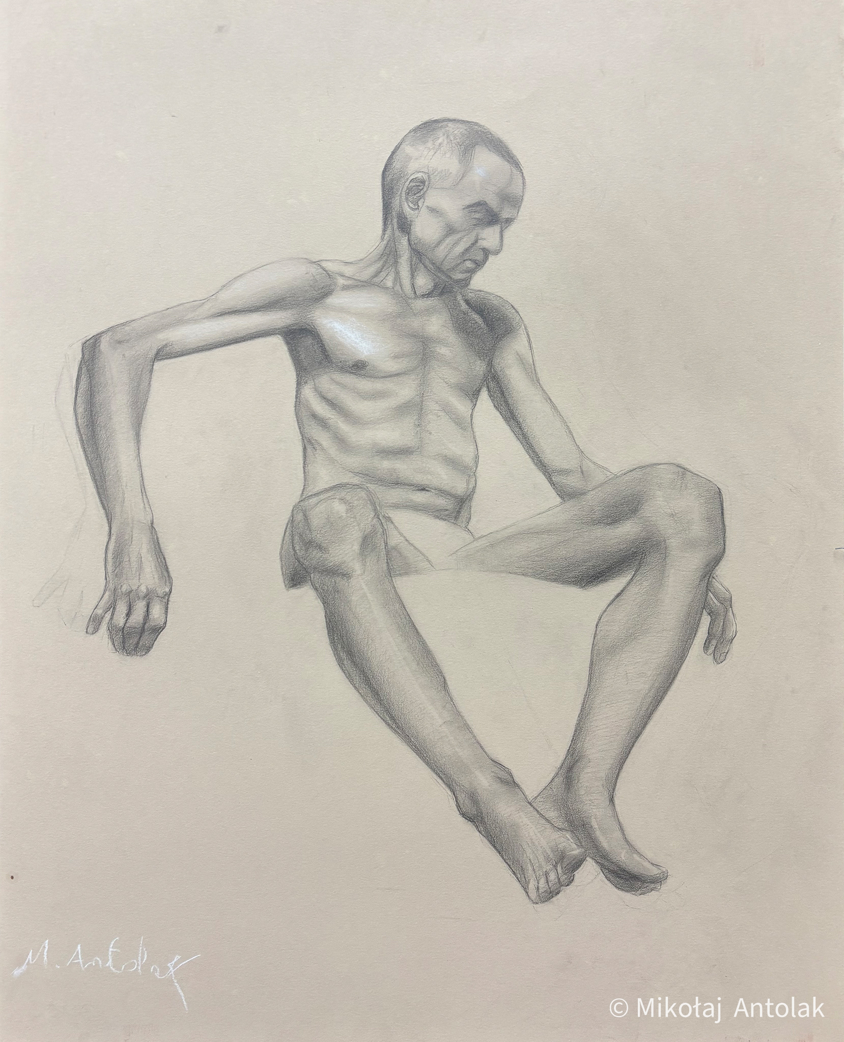 (50x65)